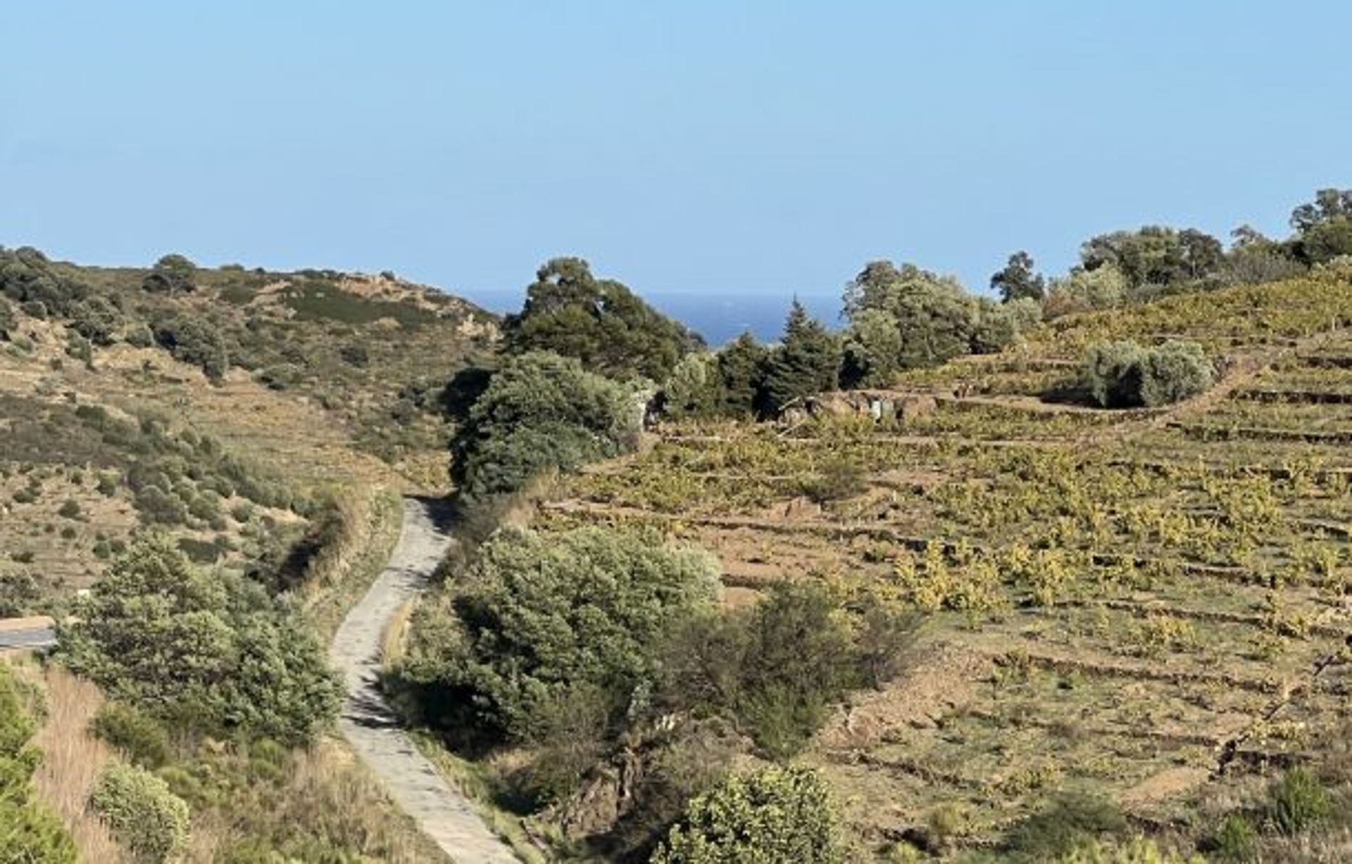 Talo sisään Collioure, Occitanie 11186192