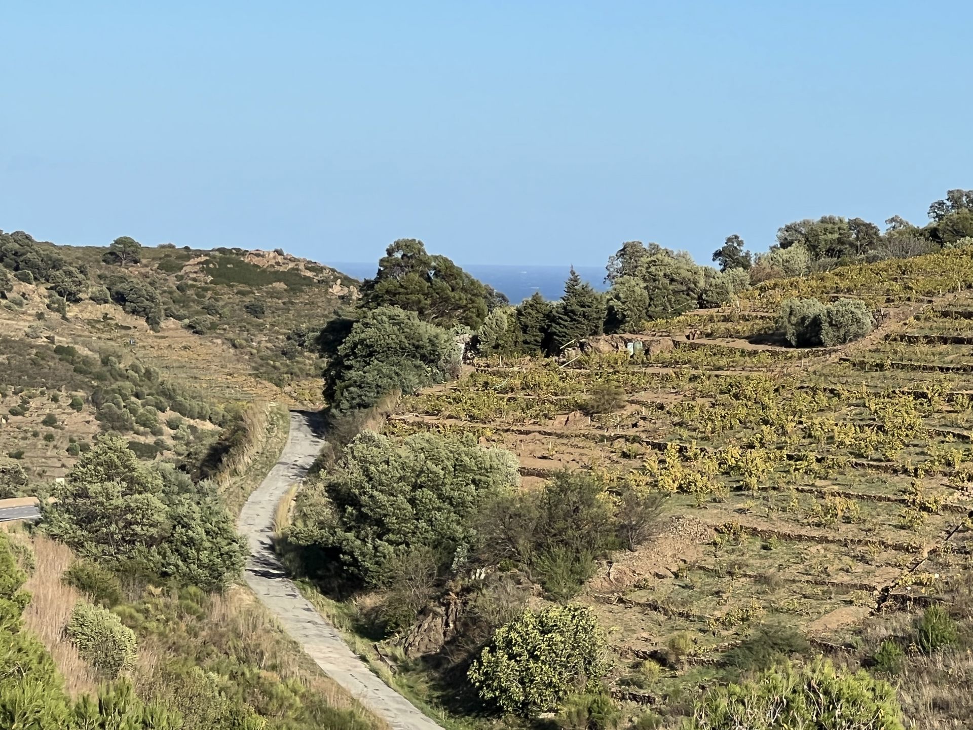 Talo sisään Collioure, Occitanie 11186192