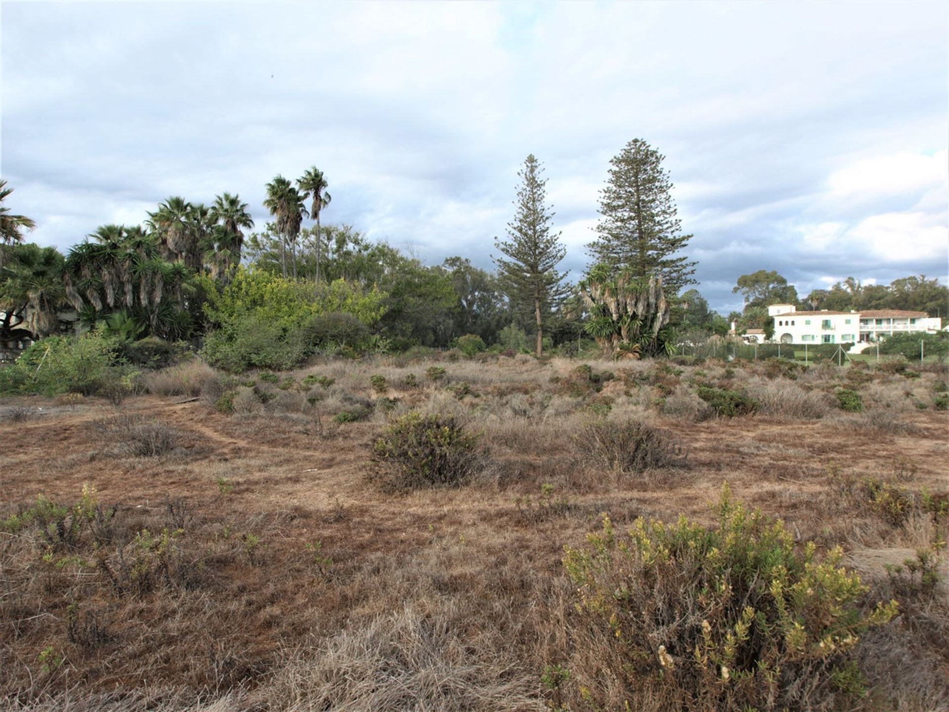 Maa sisään San Pedro Alcántara, Andalucía 11186540