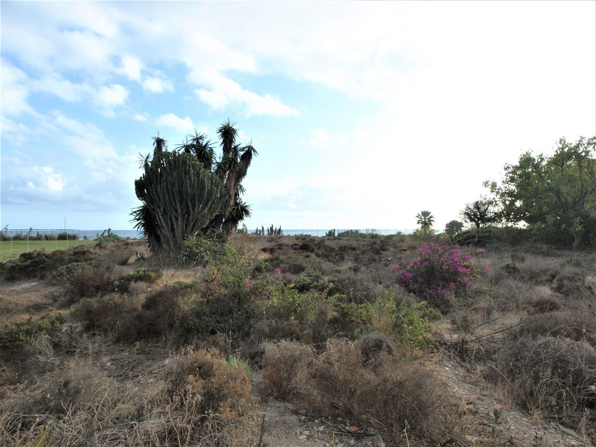 Maa sisään San Pedro Alcántara, Andalucía 11186540