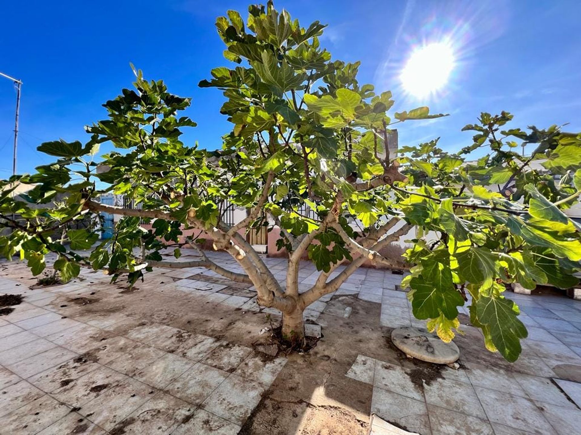 بيت في Corvera, Región de Murcia 11186747