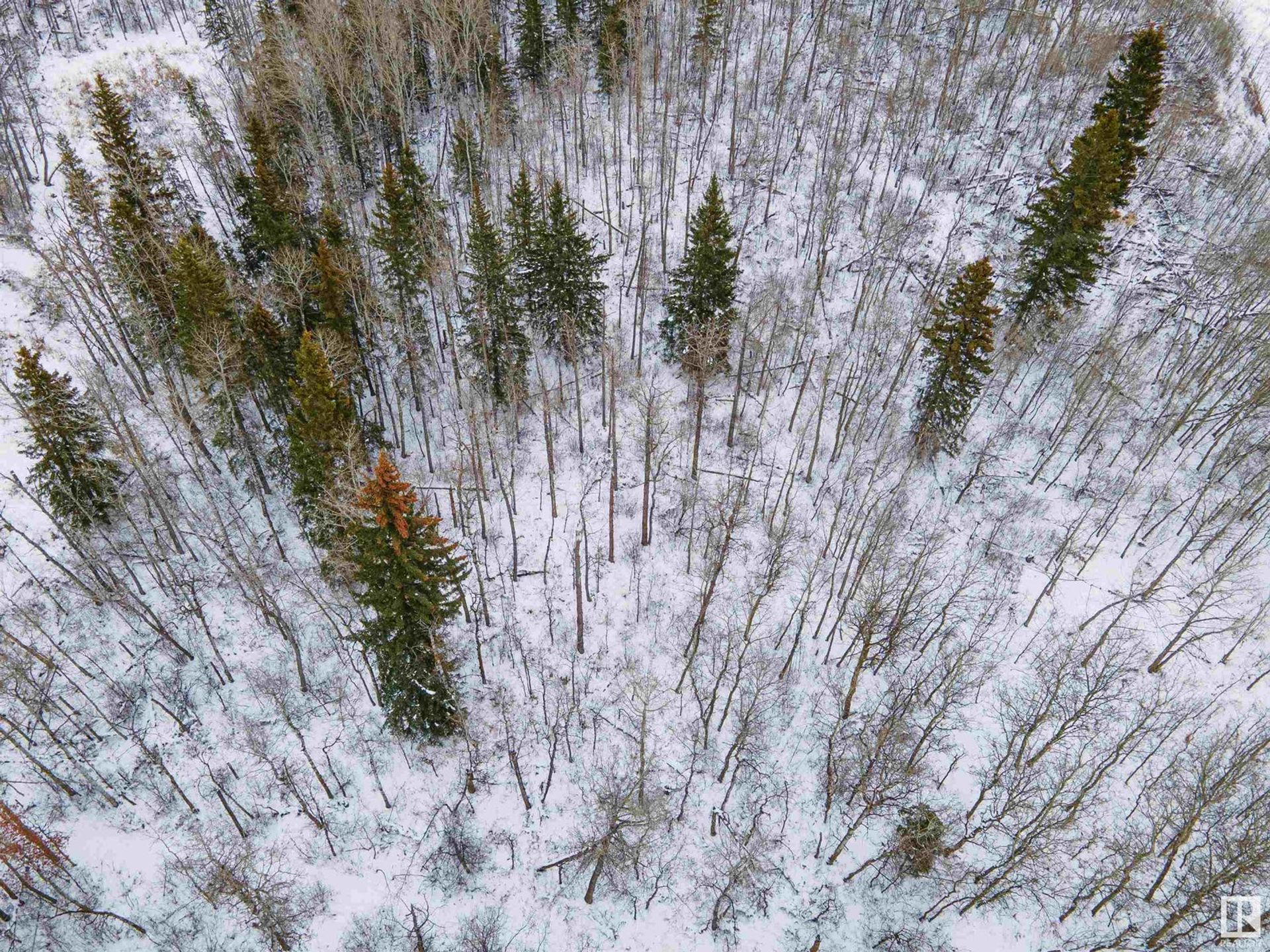 жилой дом в Beaumont, Alberta 11187374