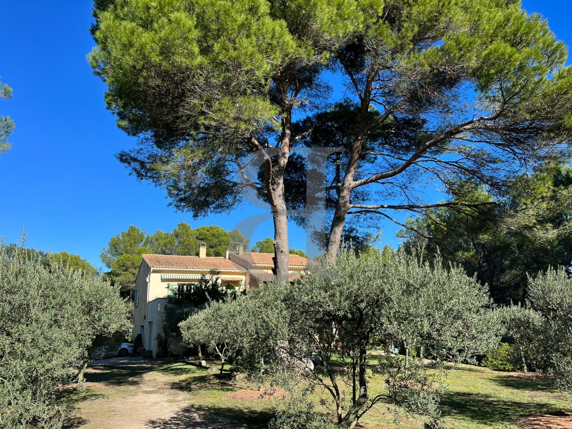 بيت في Loriol-du-Comtat, Provence-Alpes-Côte d'Azur 11187427