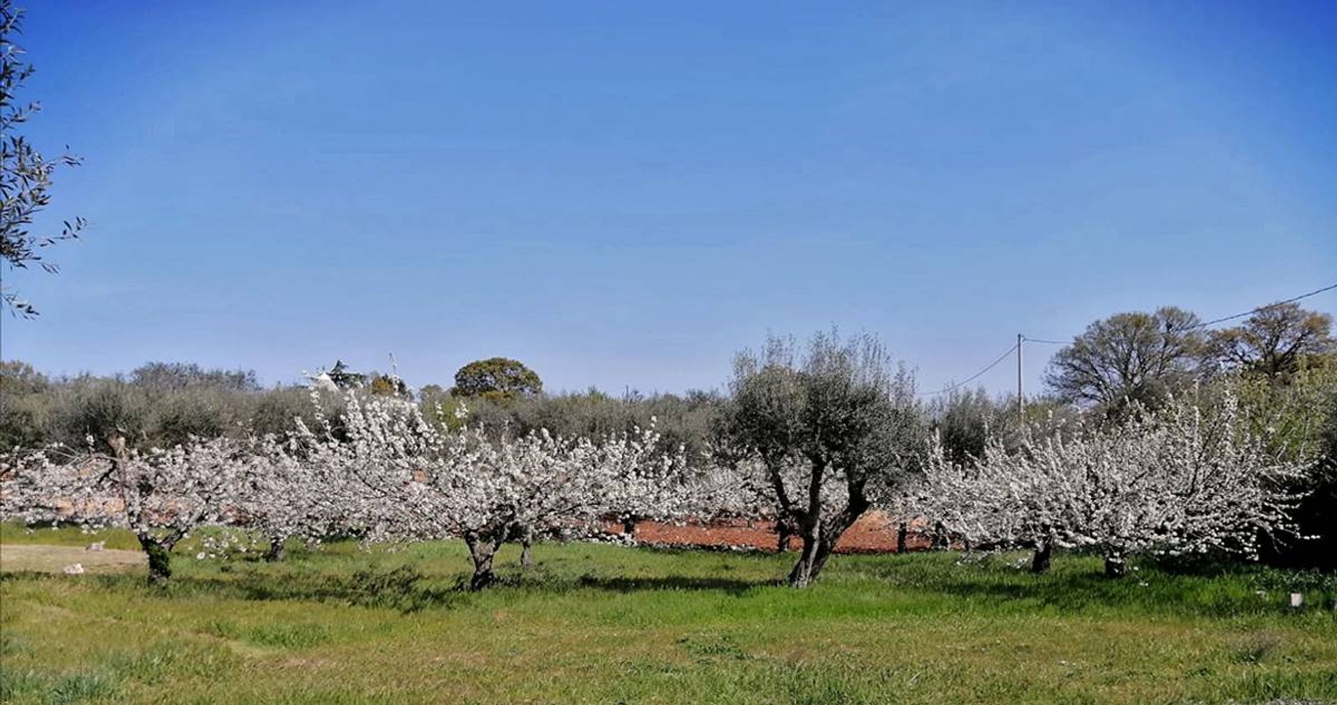 Huis in Monopoli, Apulia 11187561