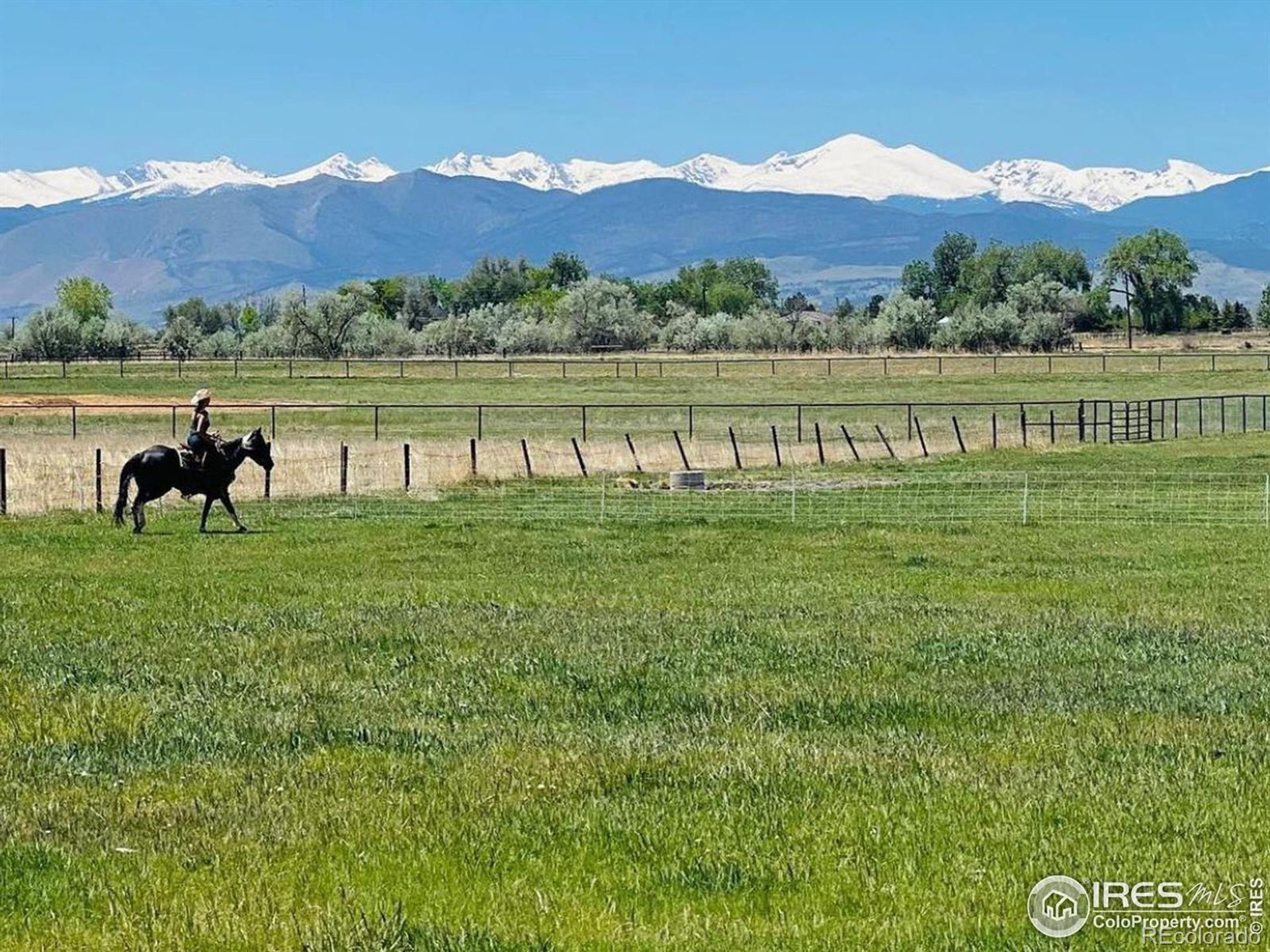 בַּיִת ב Longmont, Colorado 11187773