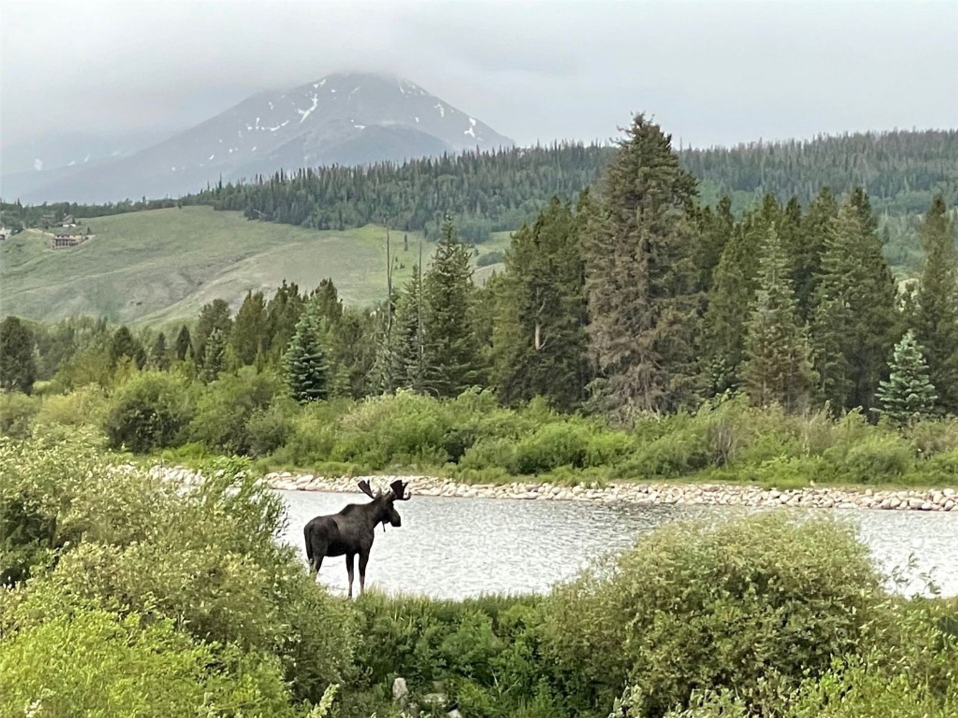 משפחה מורחבת ב Silverthorne, Colorado 11187792