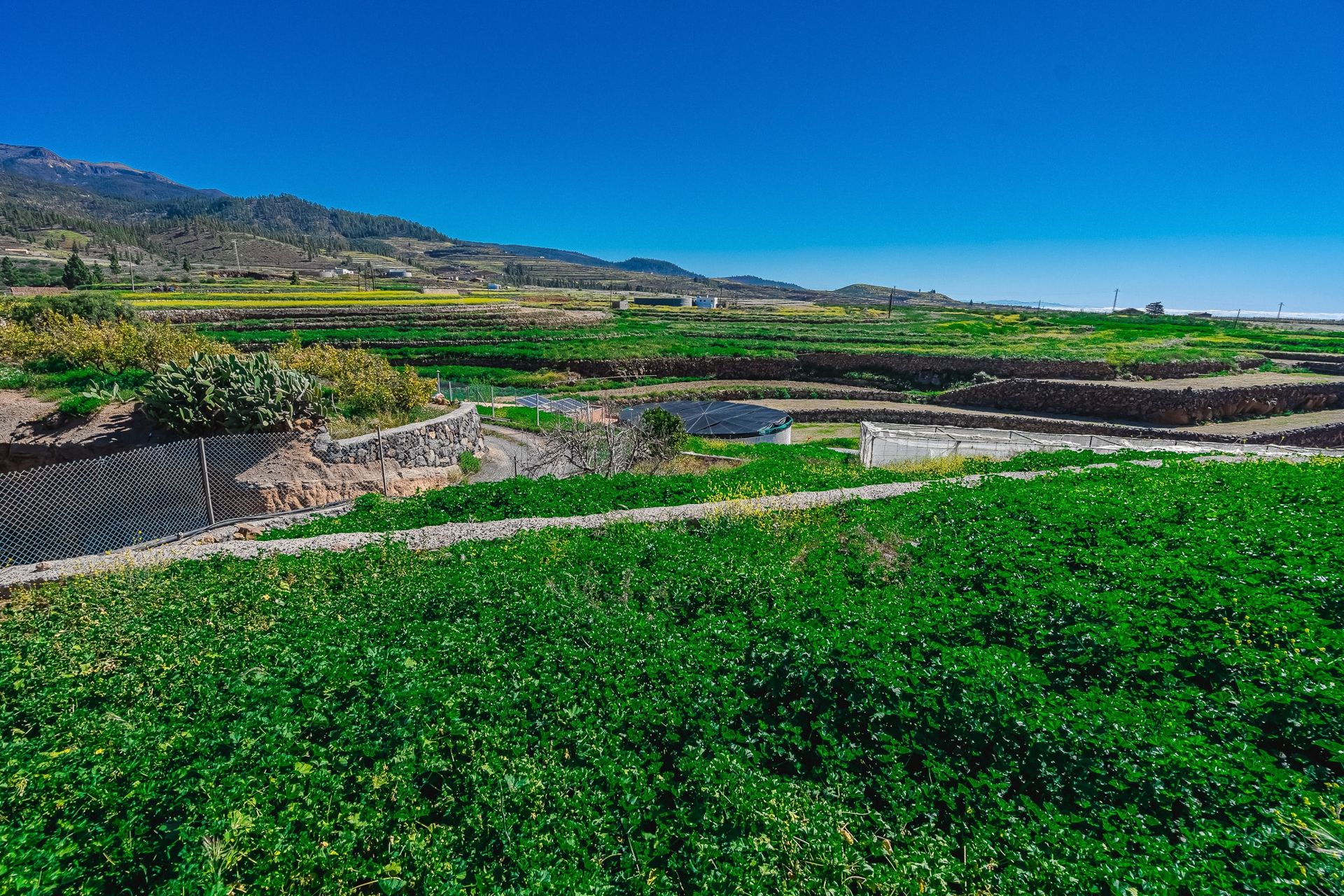 rumah dalam Vilaflor, Canarias 11188882