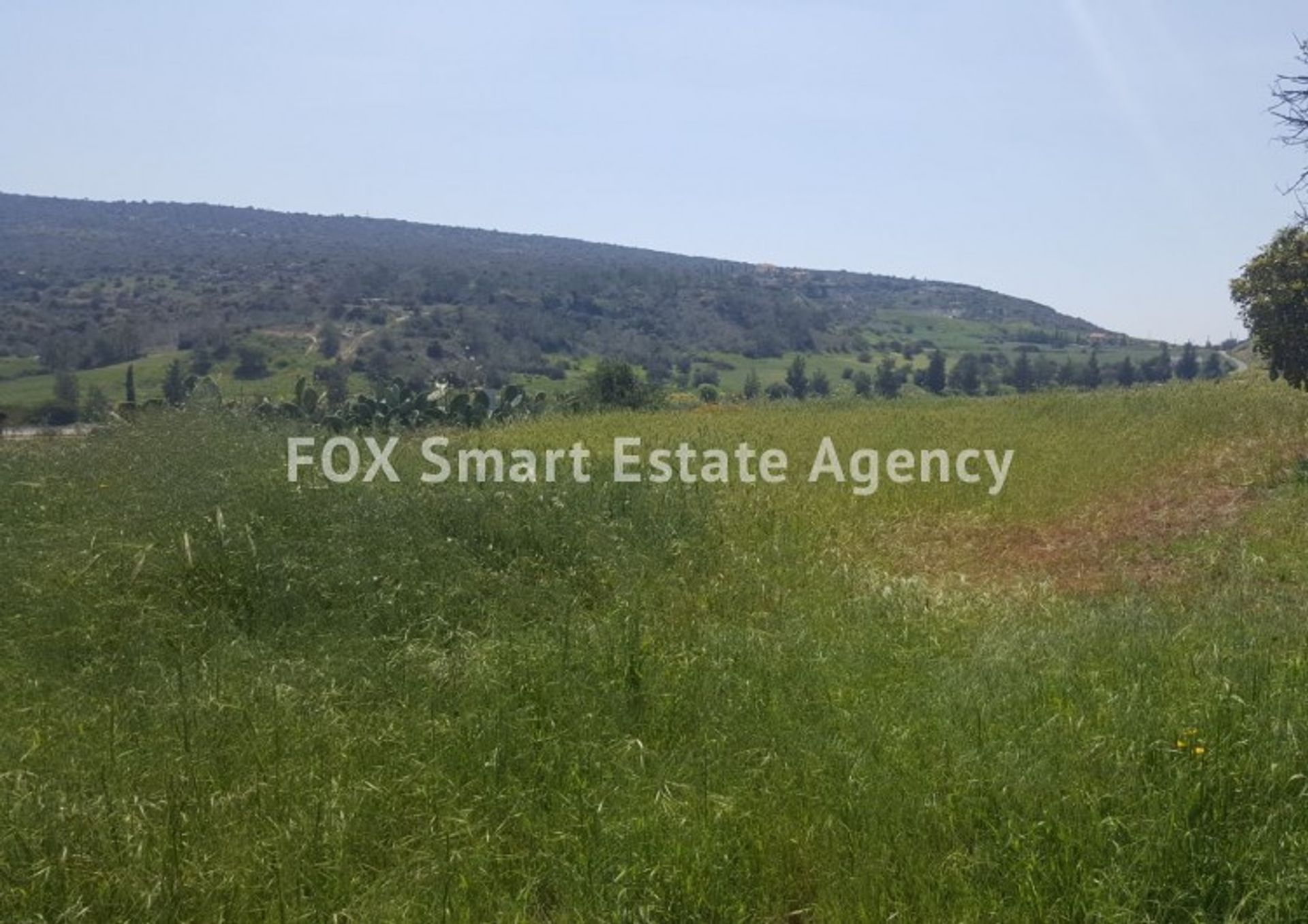 Land in Pyrgos, Larnaka 11189234