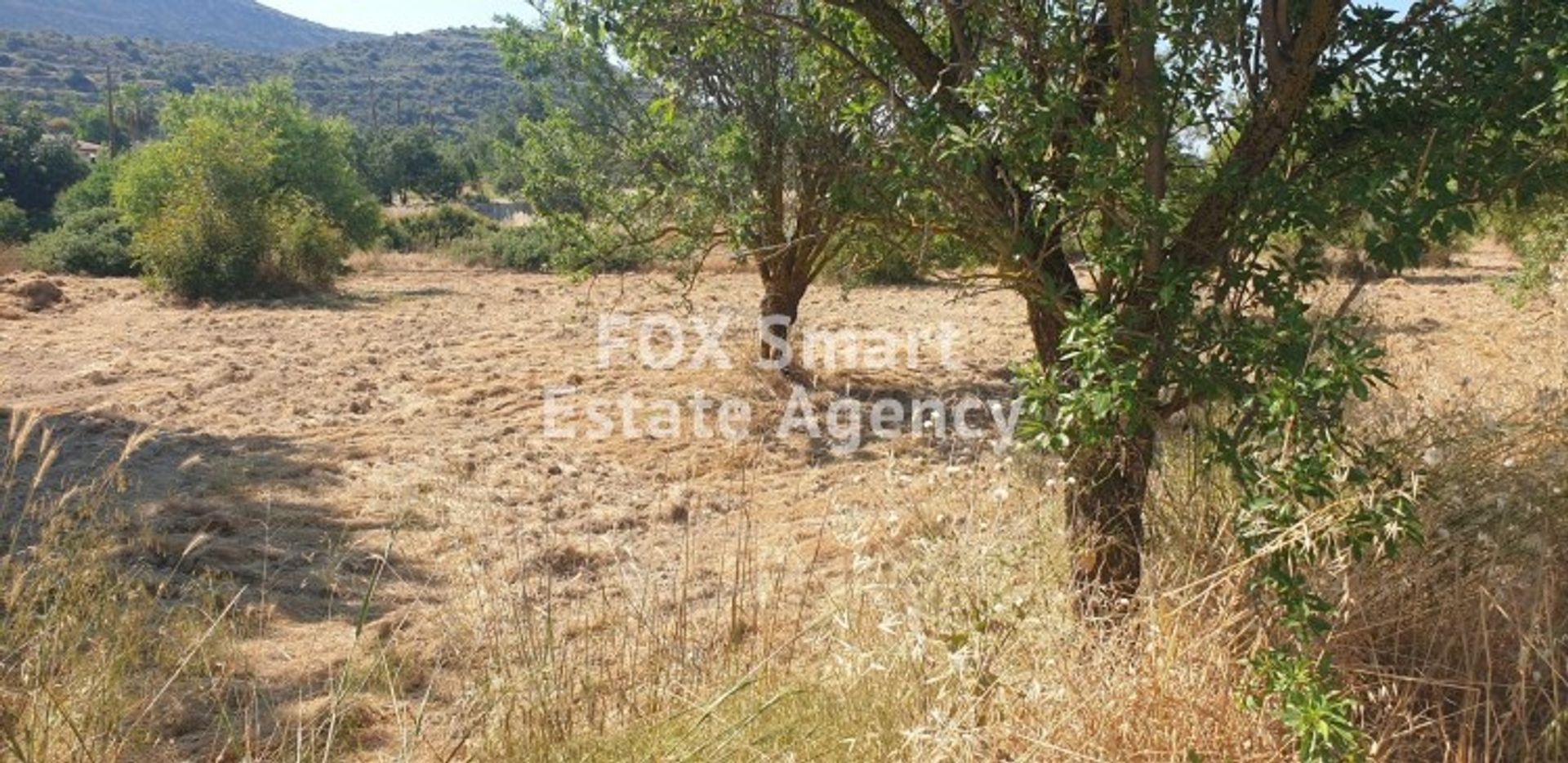 Land i Fasoula, Limassol 11189490