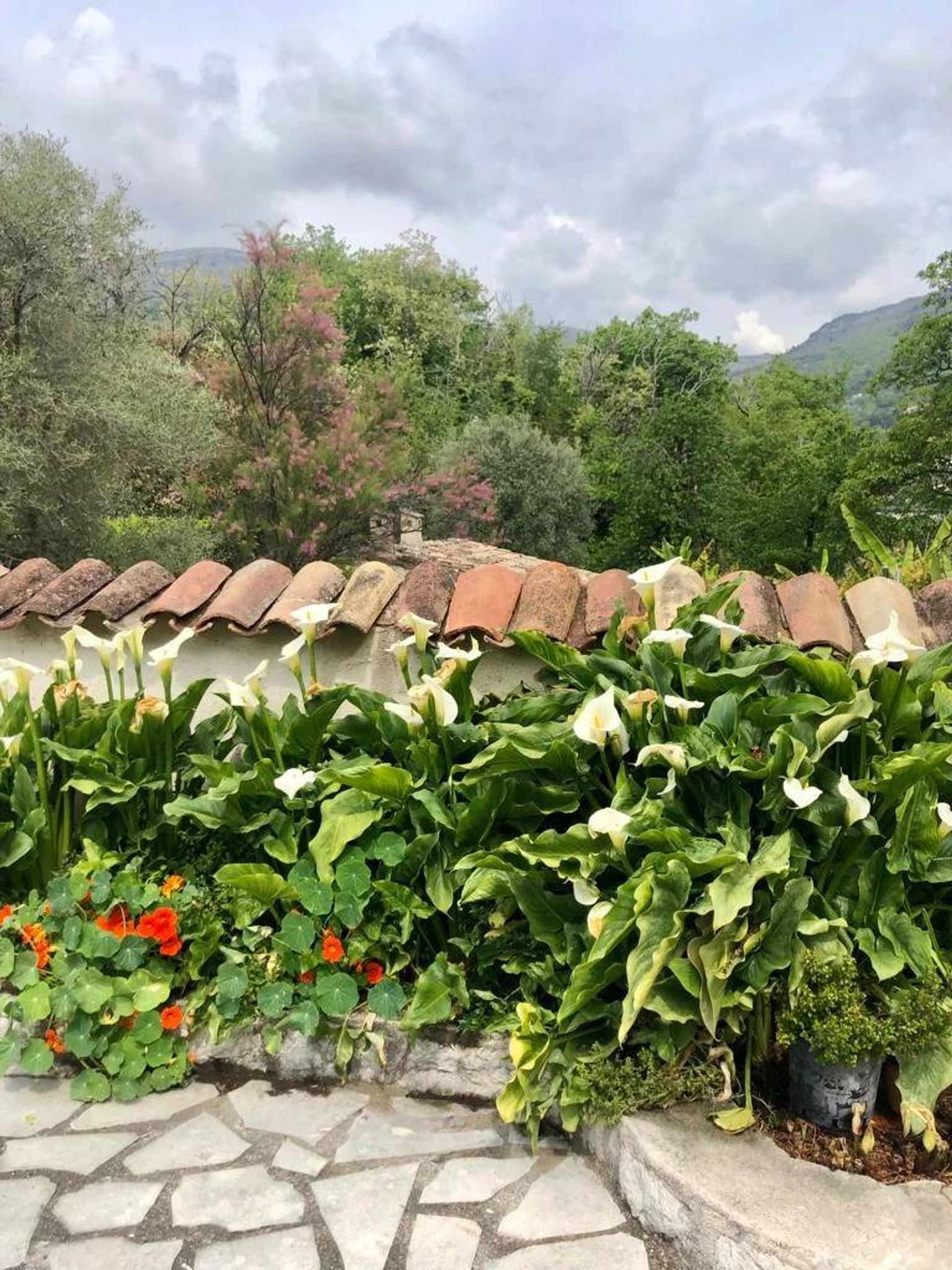 房子 在 Vence, Provence-Alpes-Côte d'Azur 11189578