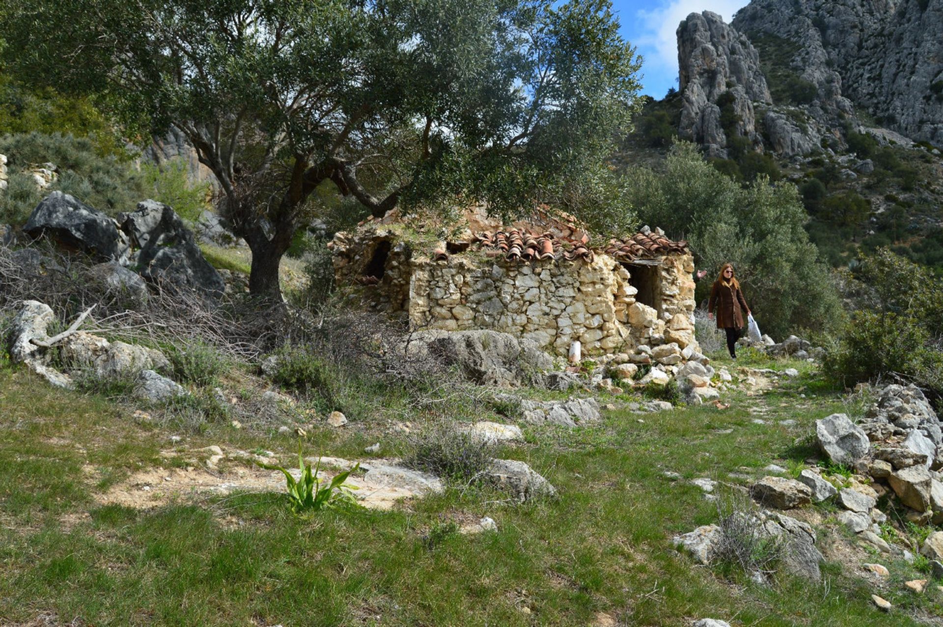 Tanah di El Chorro, Andalusia 11189655