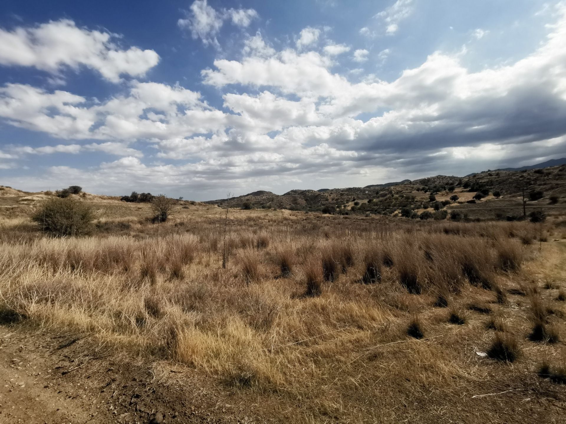 Tierra en psimolofou, Lefkosia 11192018