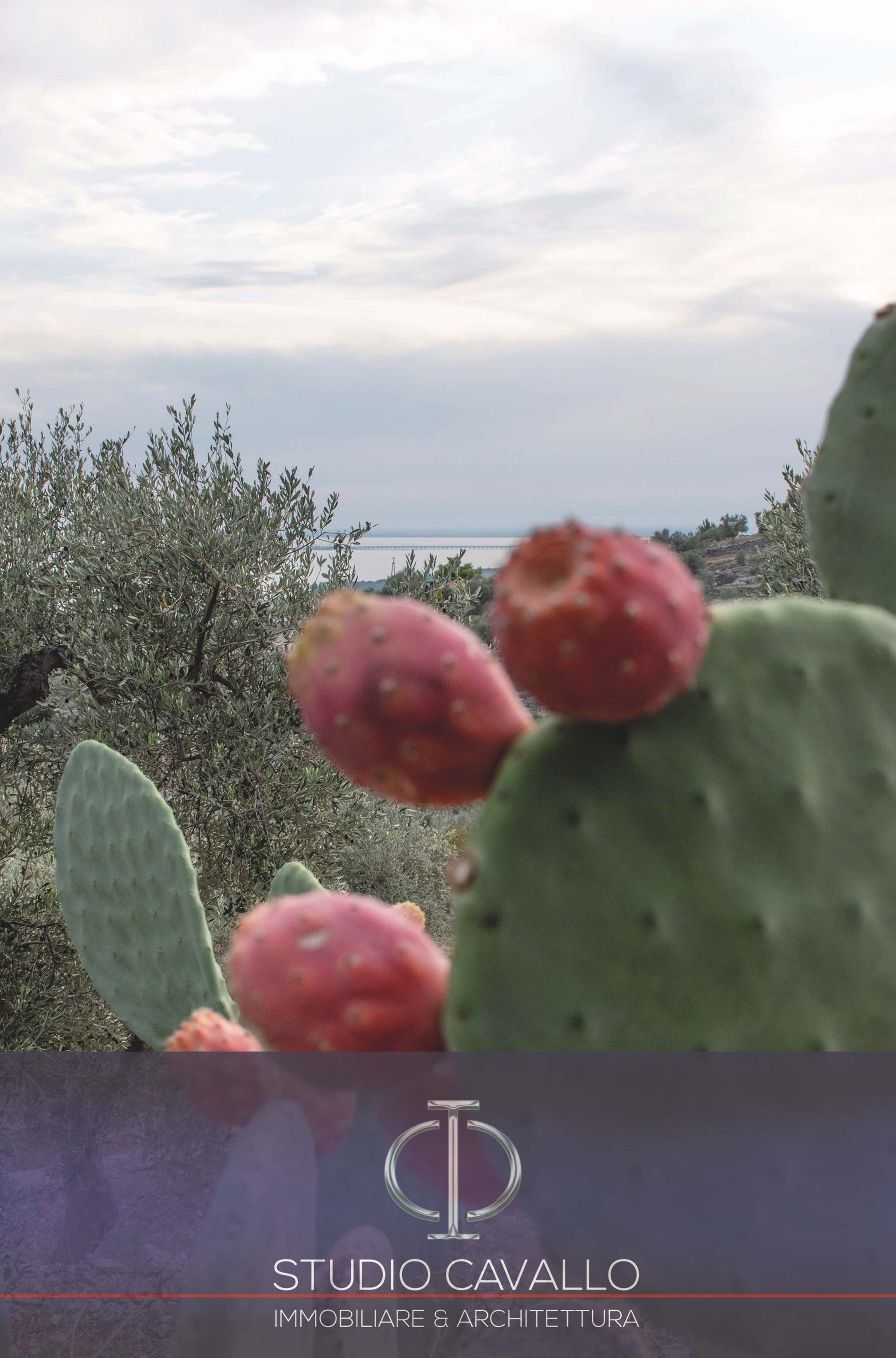 집 에 Monte Sant'Angelo, Apulia 11192391