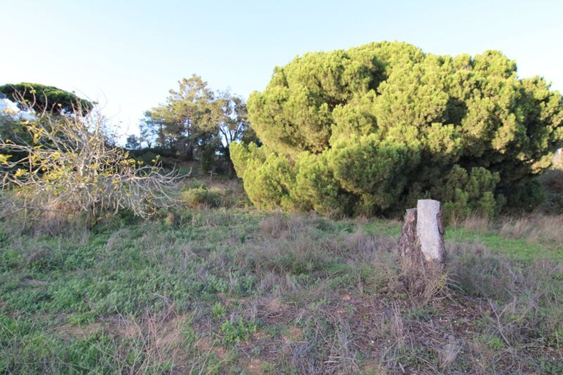 Land in Monte neger, Faro 11193373