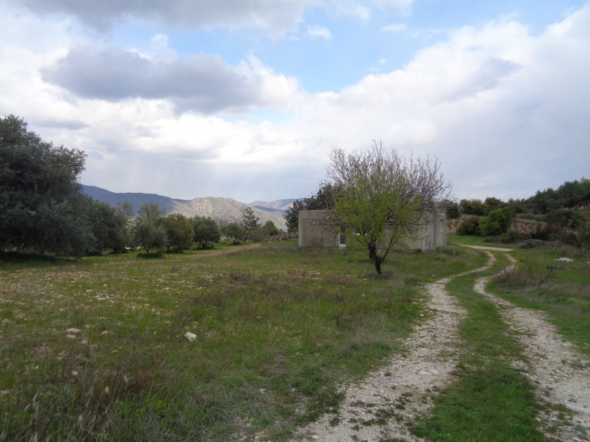 Γη σε Παλόδεια, Λεμεσός 11193561