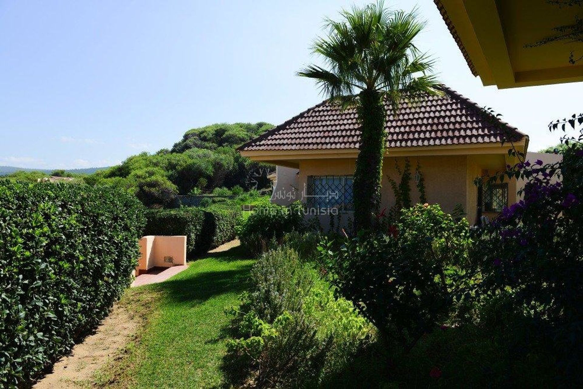 House in Tabarka, Jendouba 11193718