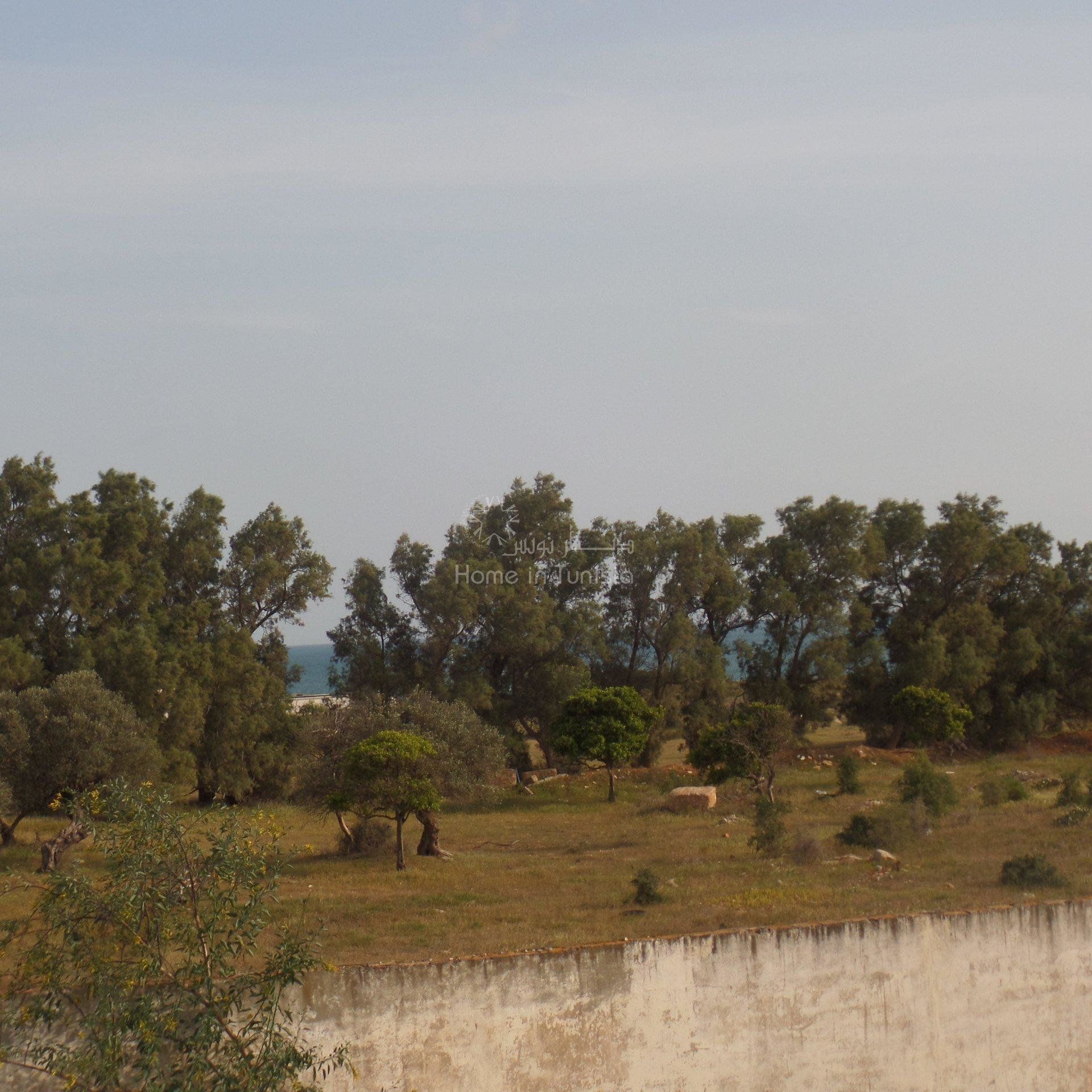 אַחֵר ב Hammamet, Nabeul 11193796