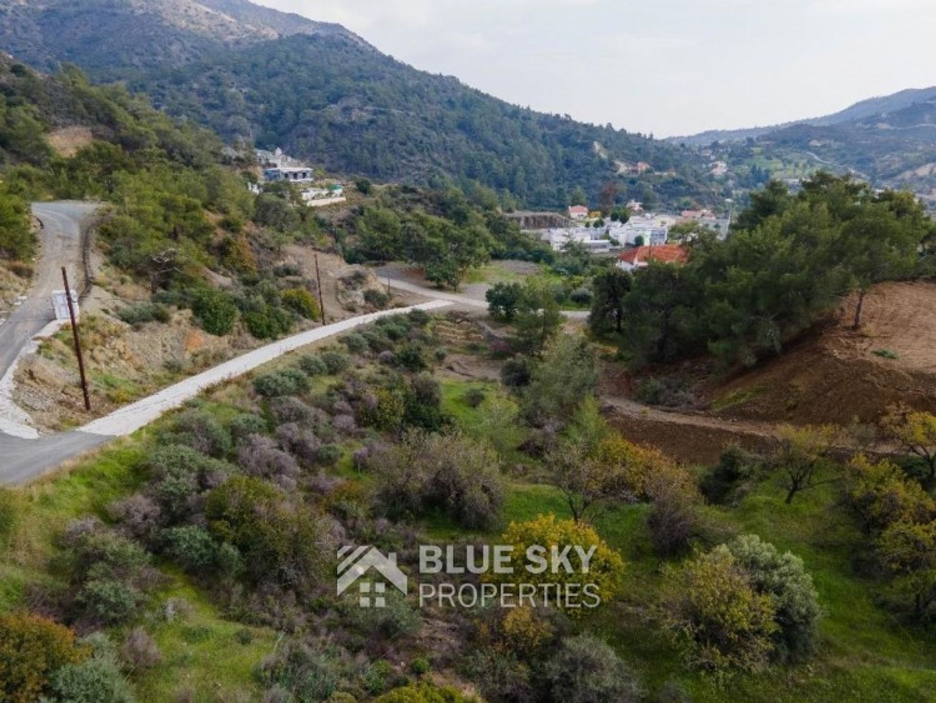 Land in Palodeia, Lemesos 11194373