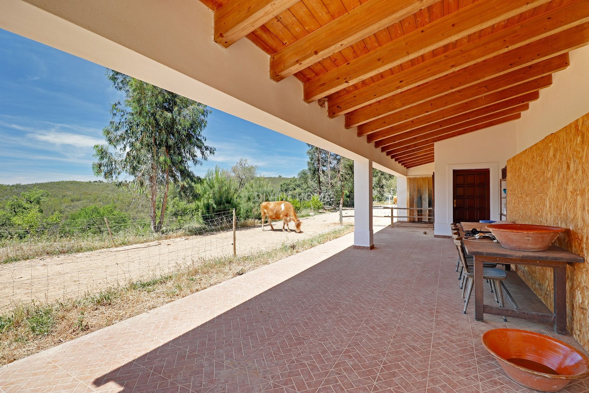 House in Vale de Pegas, Beja 11194449