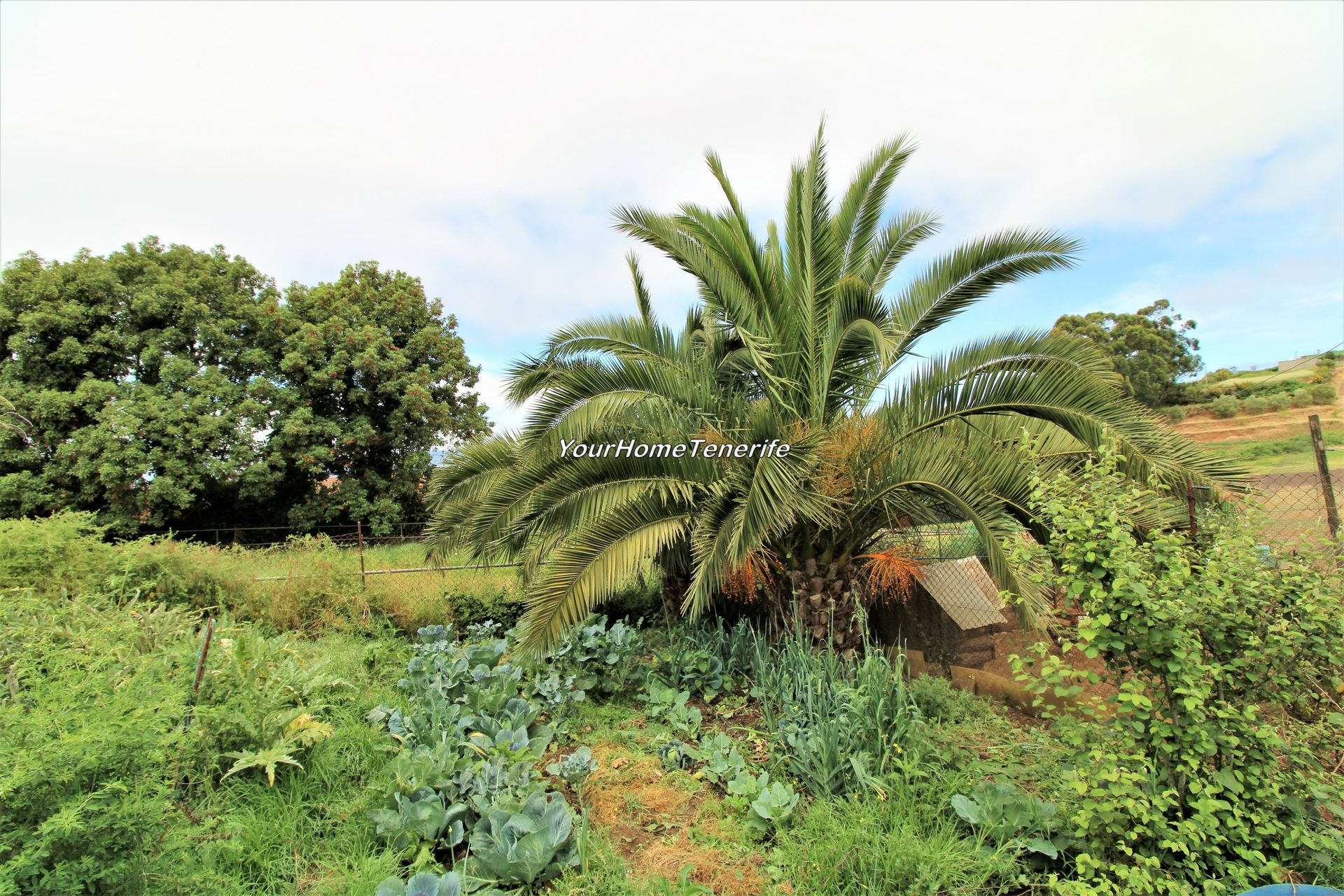 Casa nel , Canary Islands 11198842