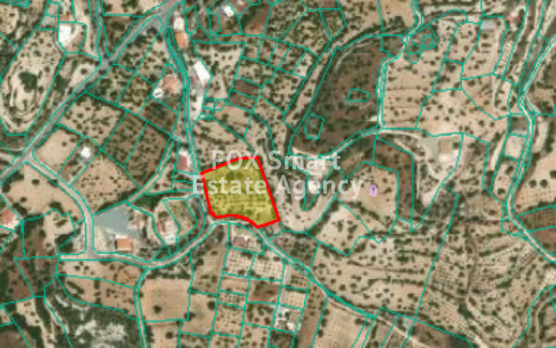 Land in Palodeia, Lemesos 11199078