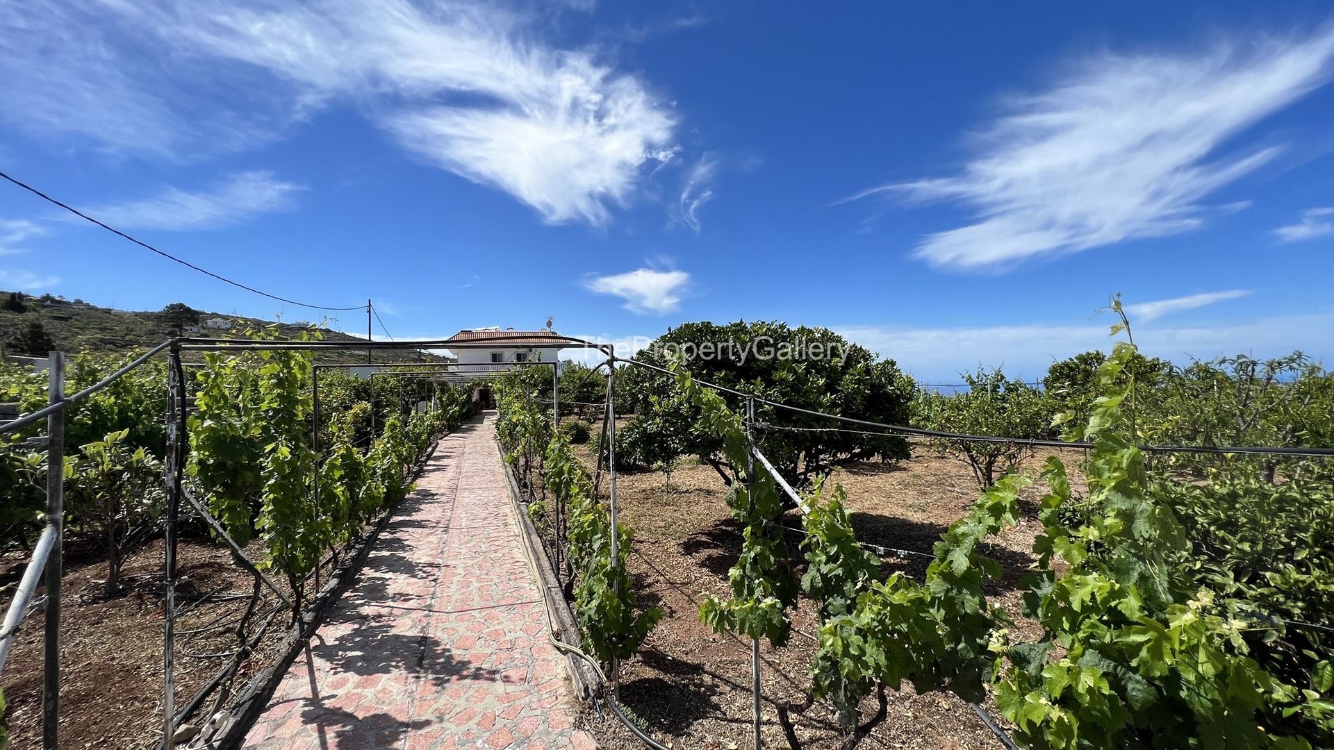 Casa nel Guía de Isora, Canarias 11199273