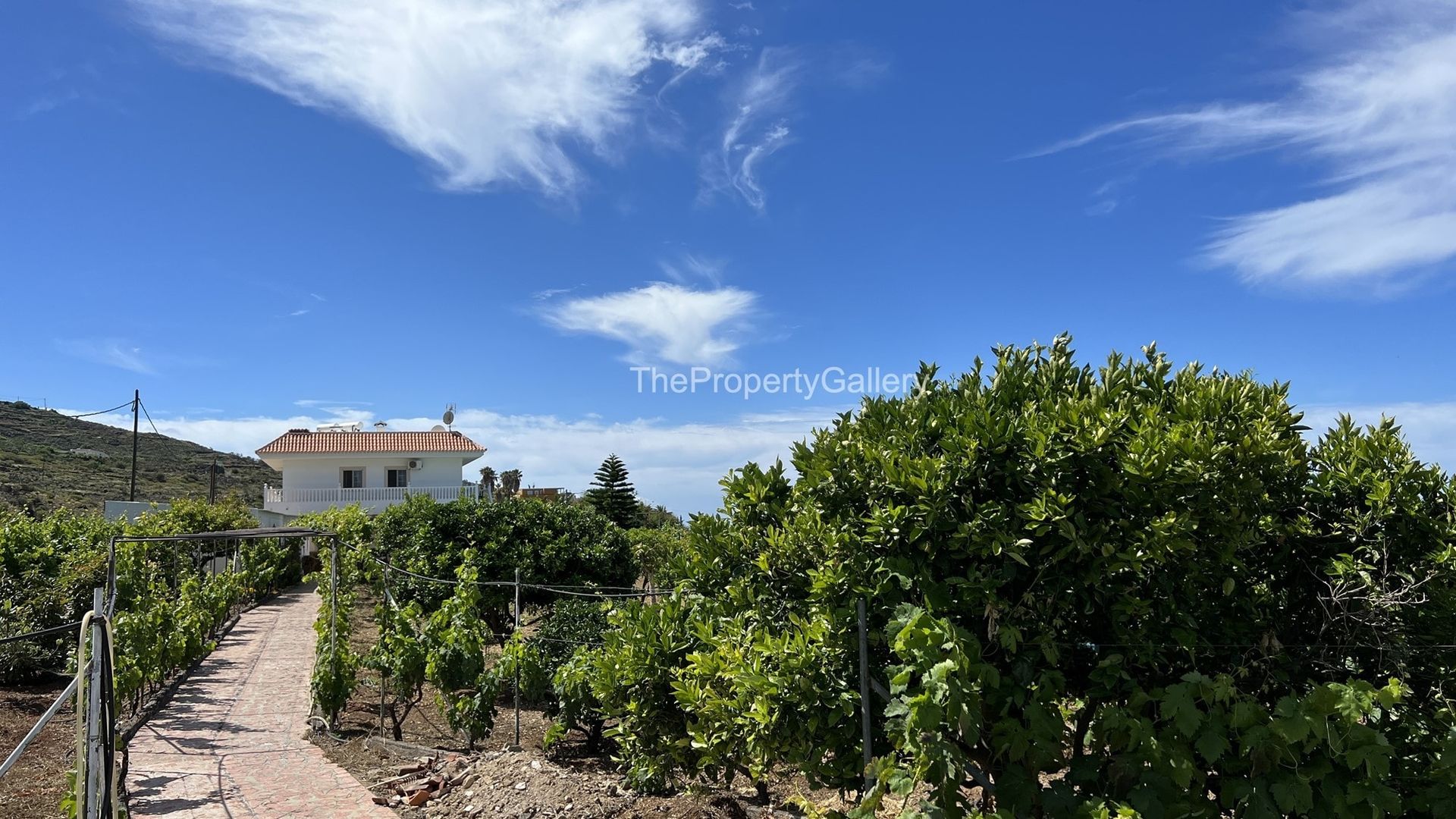 Casa nel Guía de Isora, Canarias 11199273