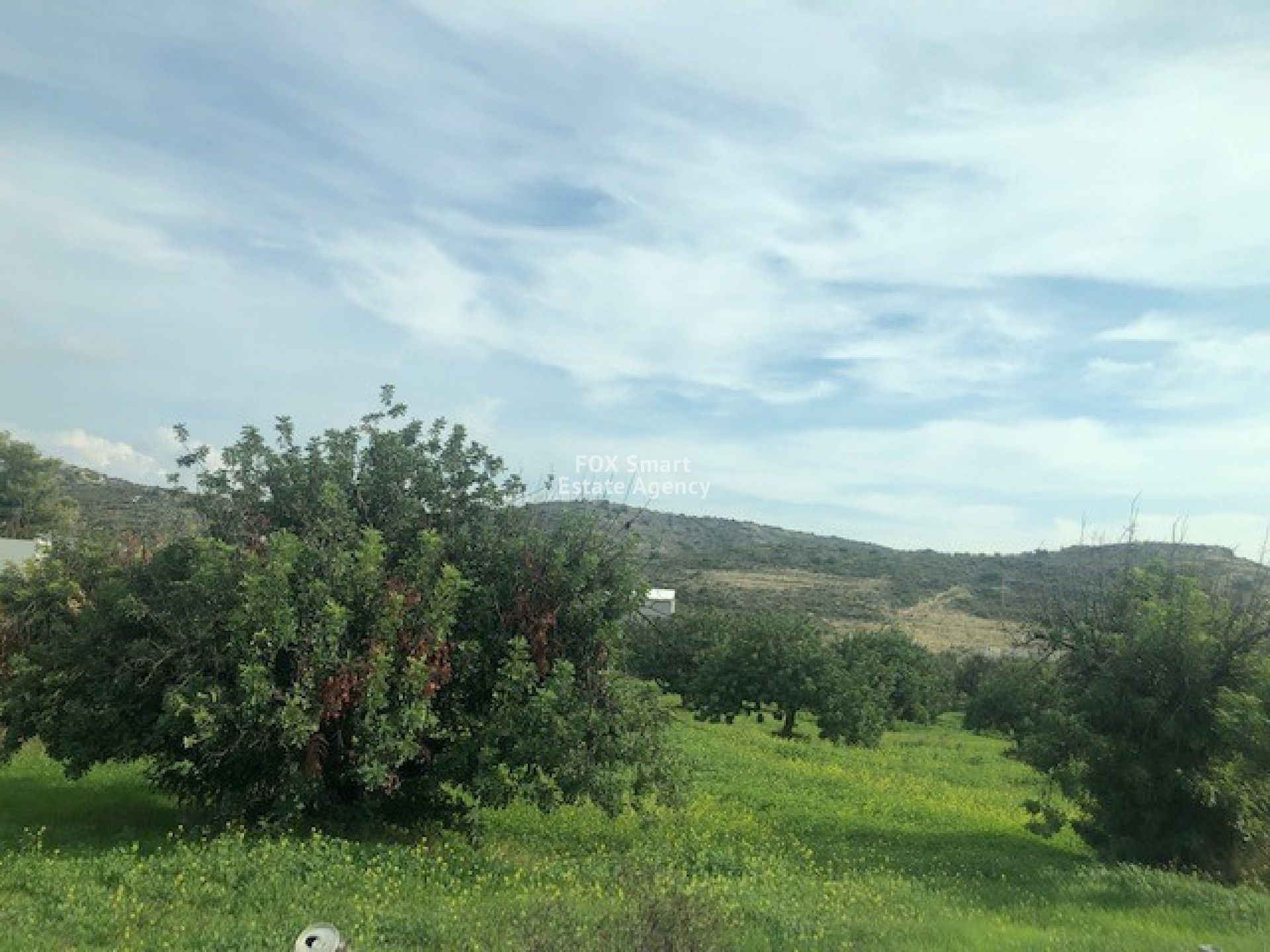 Land in Palodeia, Lemesos 11199599