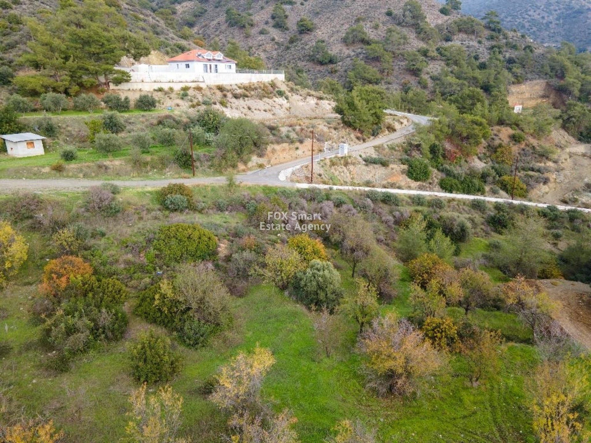 Land in Palodeia, Lemesos 11199672