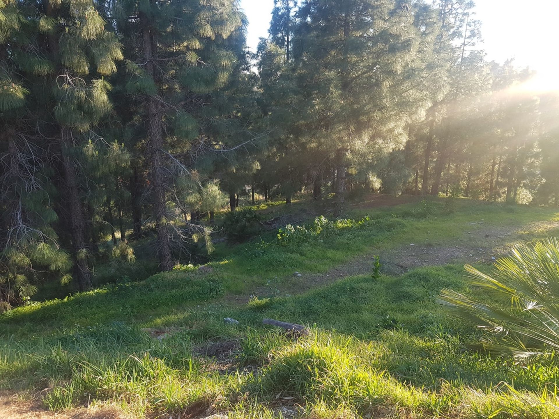 土地 在 Las Lagunas de Mijas, Andalucía 11199759