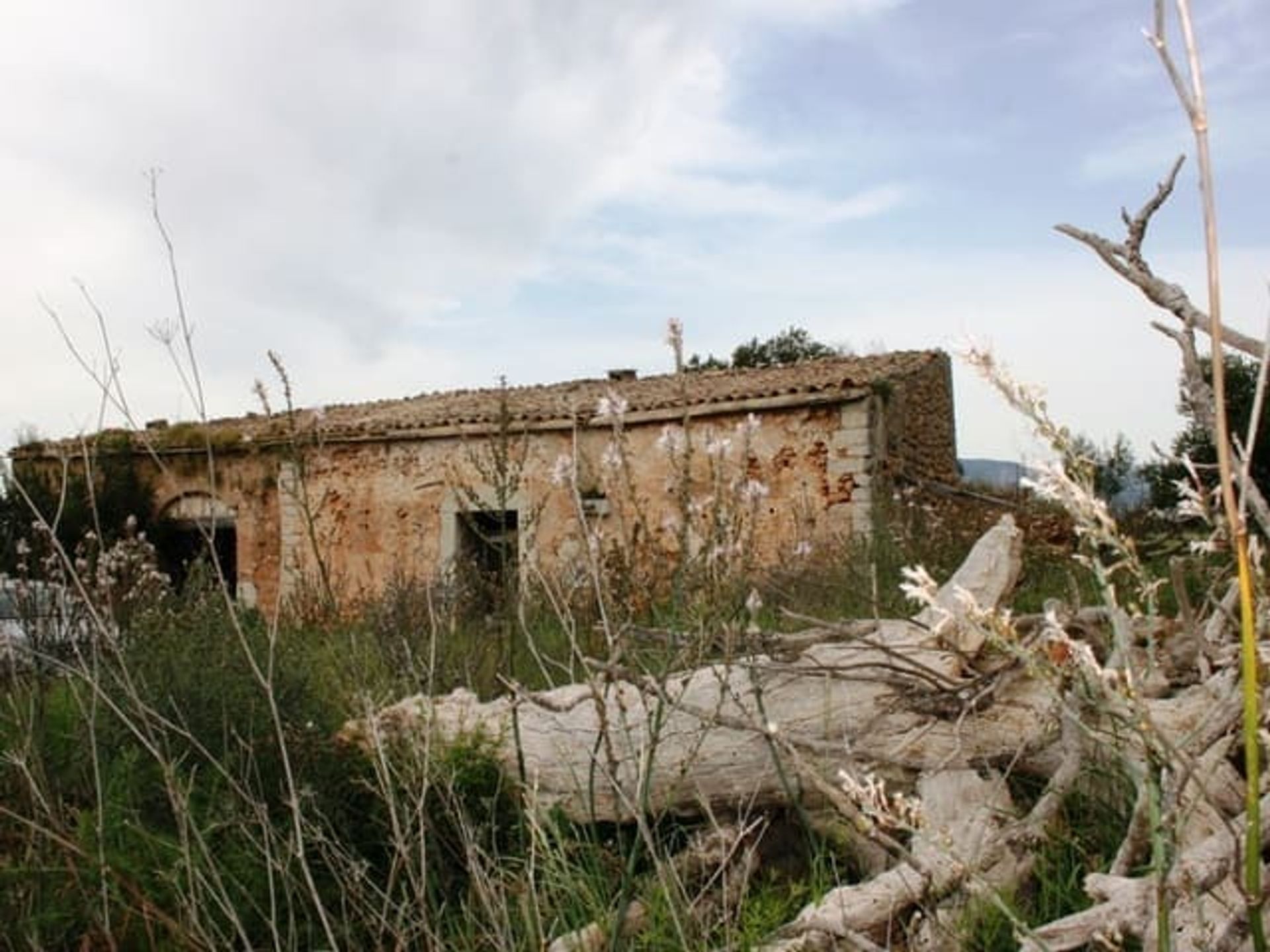 Βιομηχανικός σε Sencelles, Illes Balears 11200431