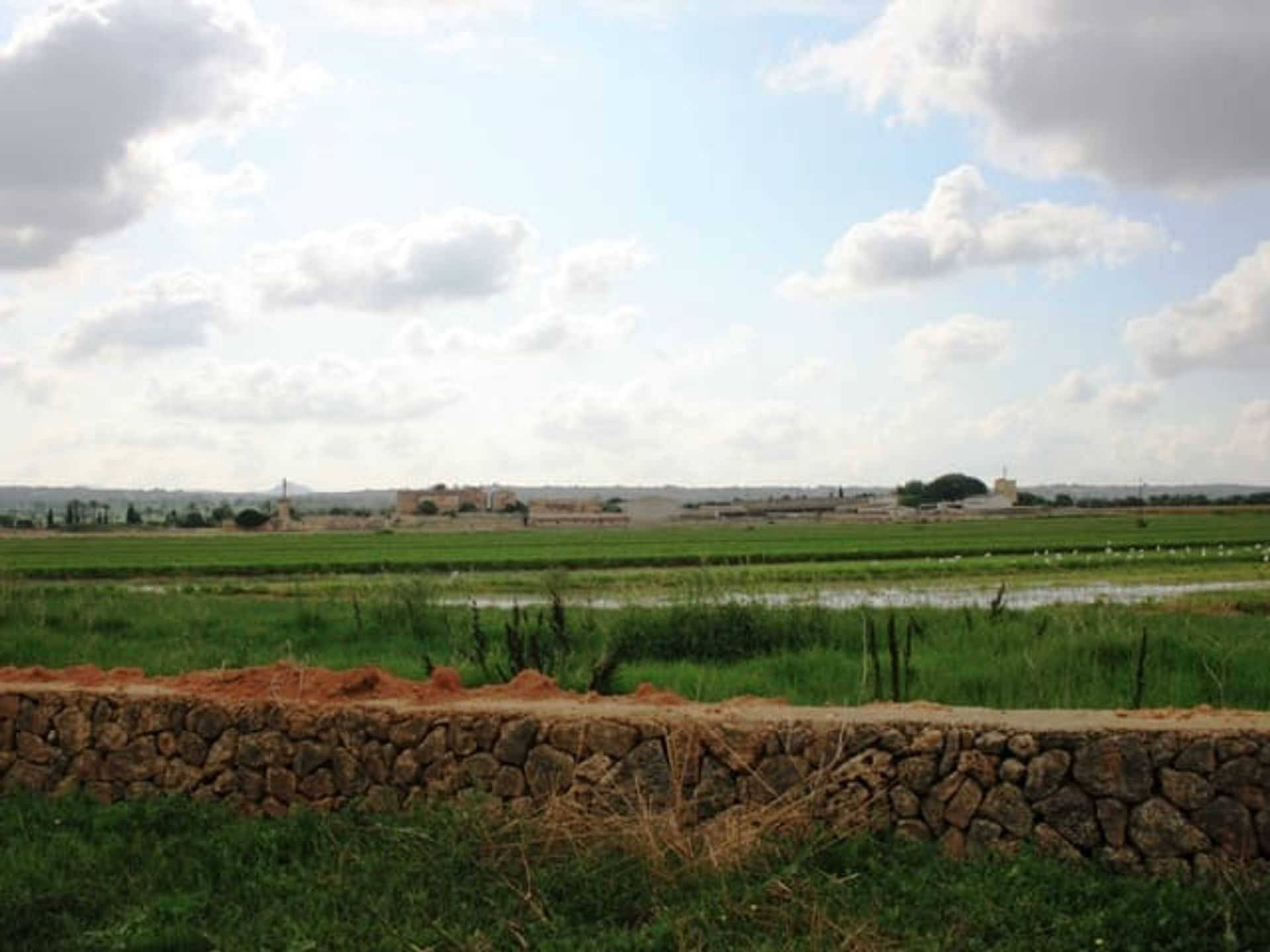 Industriell i Palma, Illes Balears 11200791