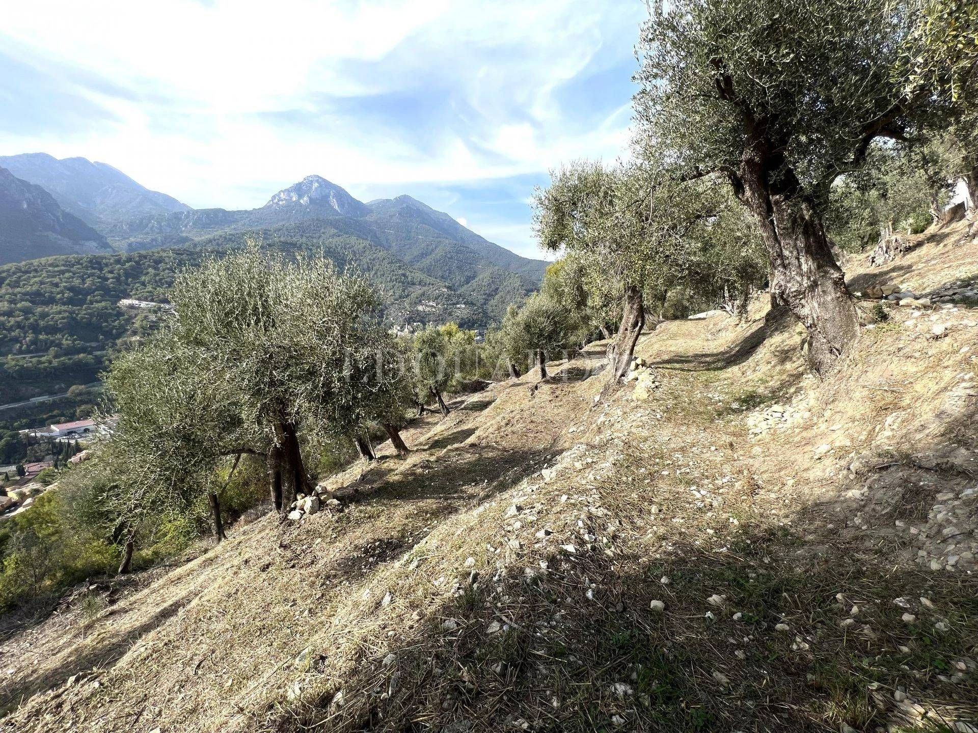 Rumah di Castellar, Provence-Alpes-Côte d'Azur 11201302