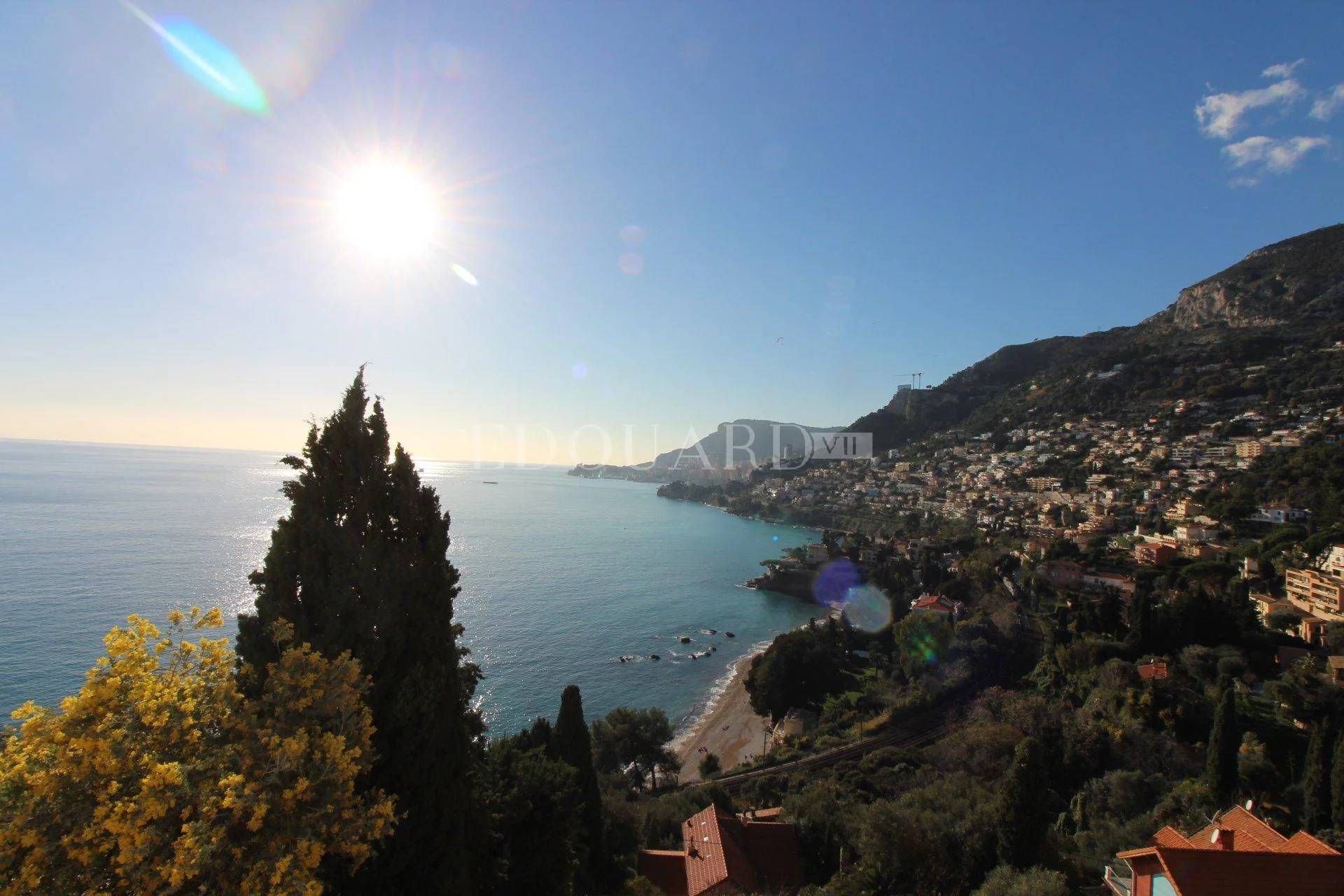 Будинок в Roquebrune-Cap-Martin, Provence-Alpes-Côte d'Azur 11201325