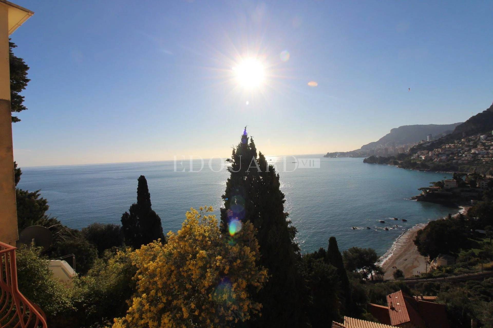 House in Roquebrune-Cap-Martin, Provence-Alpes-Côte d'Azur 11201325