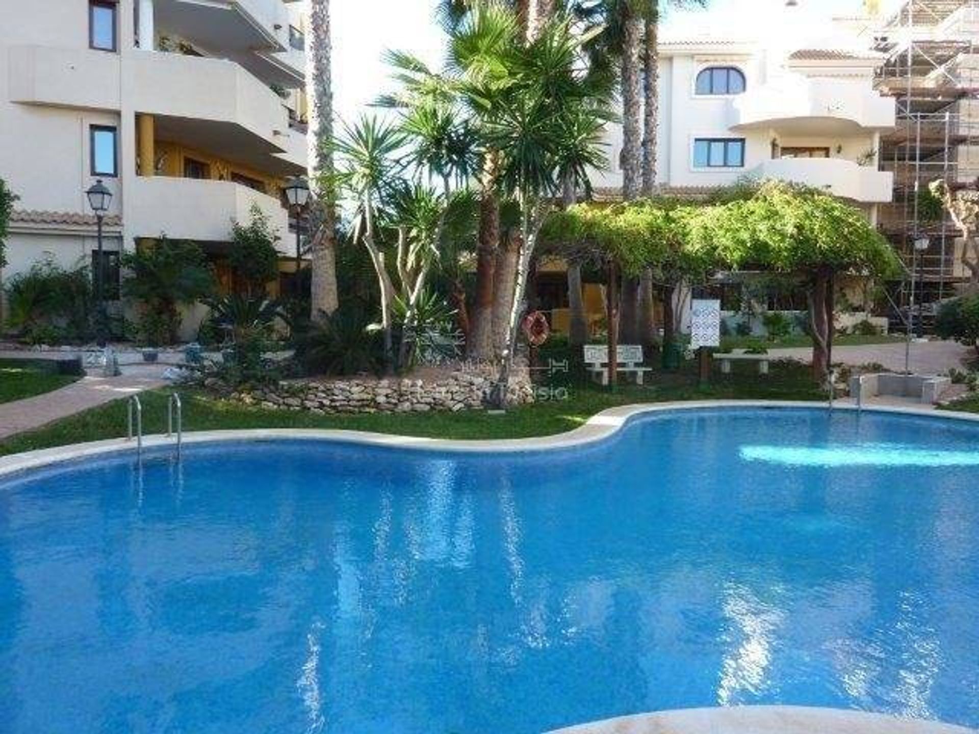 Condominium dans Torrevieja, Valence 11201566