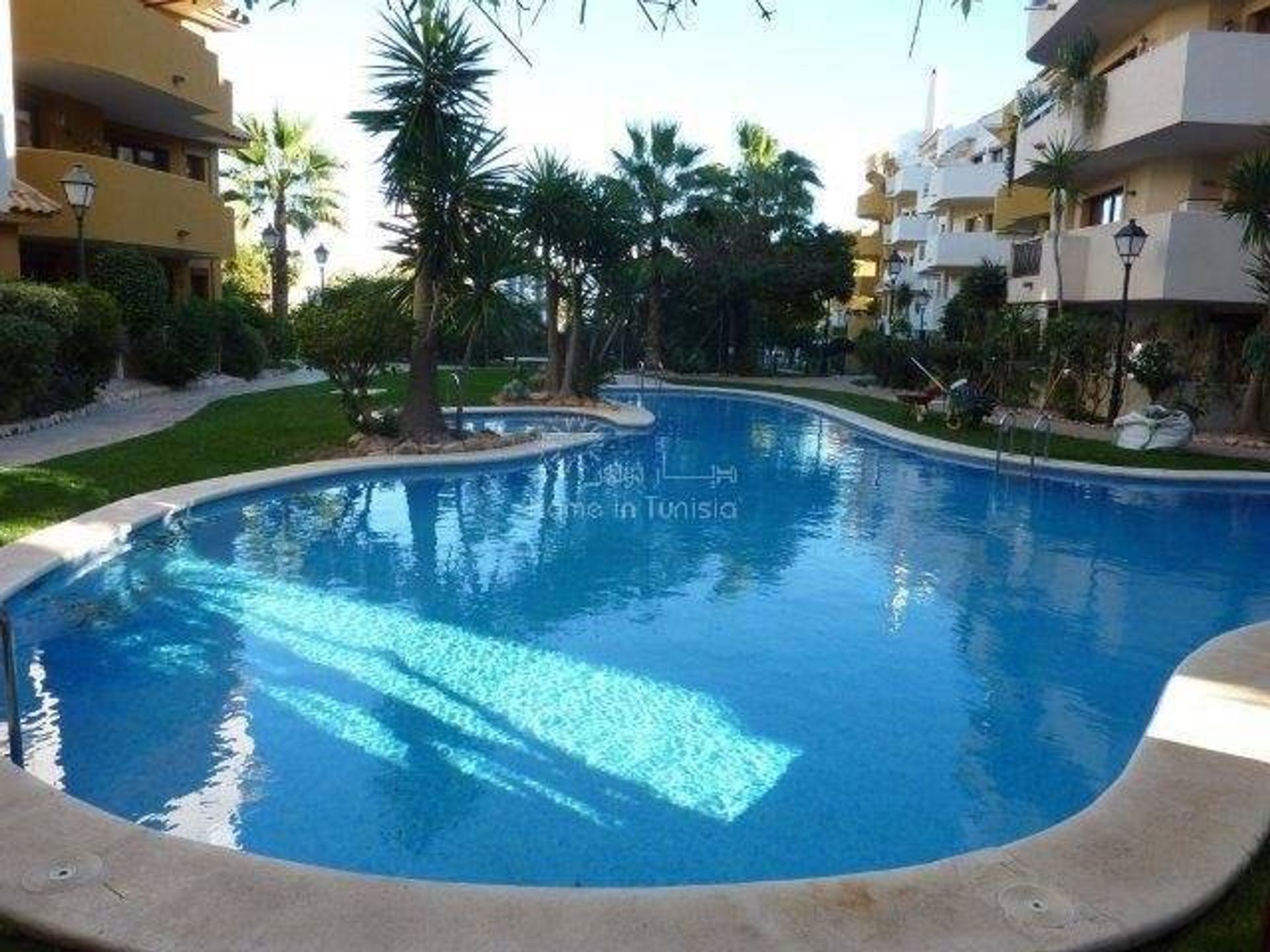 Condominium dans Torrevieja, Valence 11201566