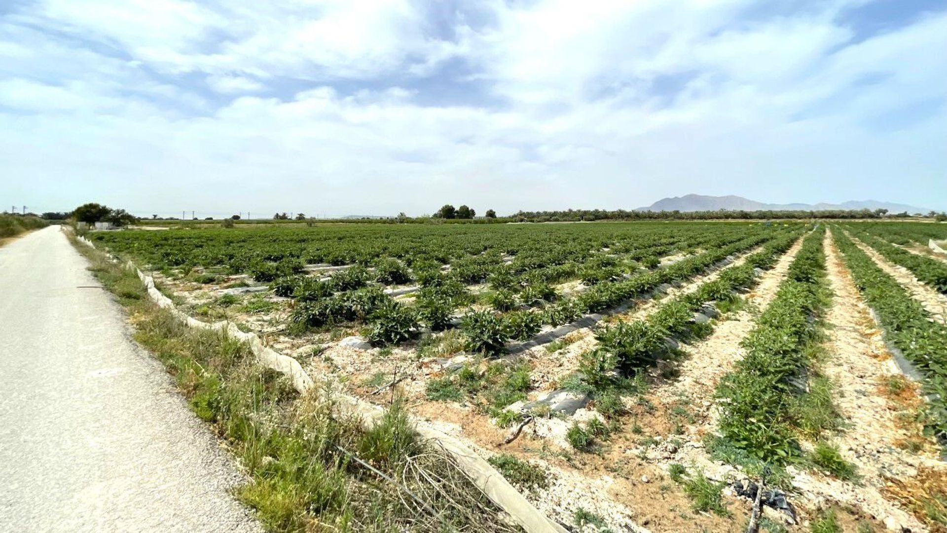 Land in San Isidro, Comunidad Valenciana 11201673