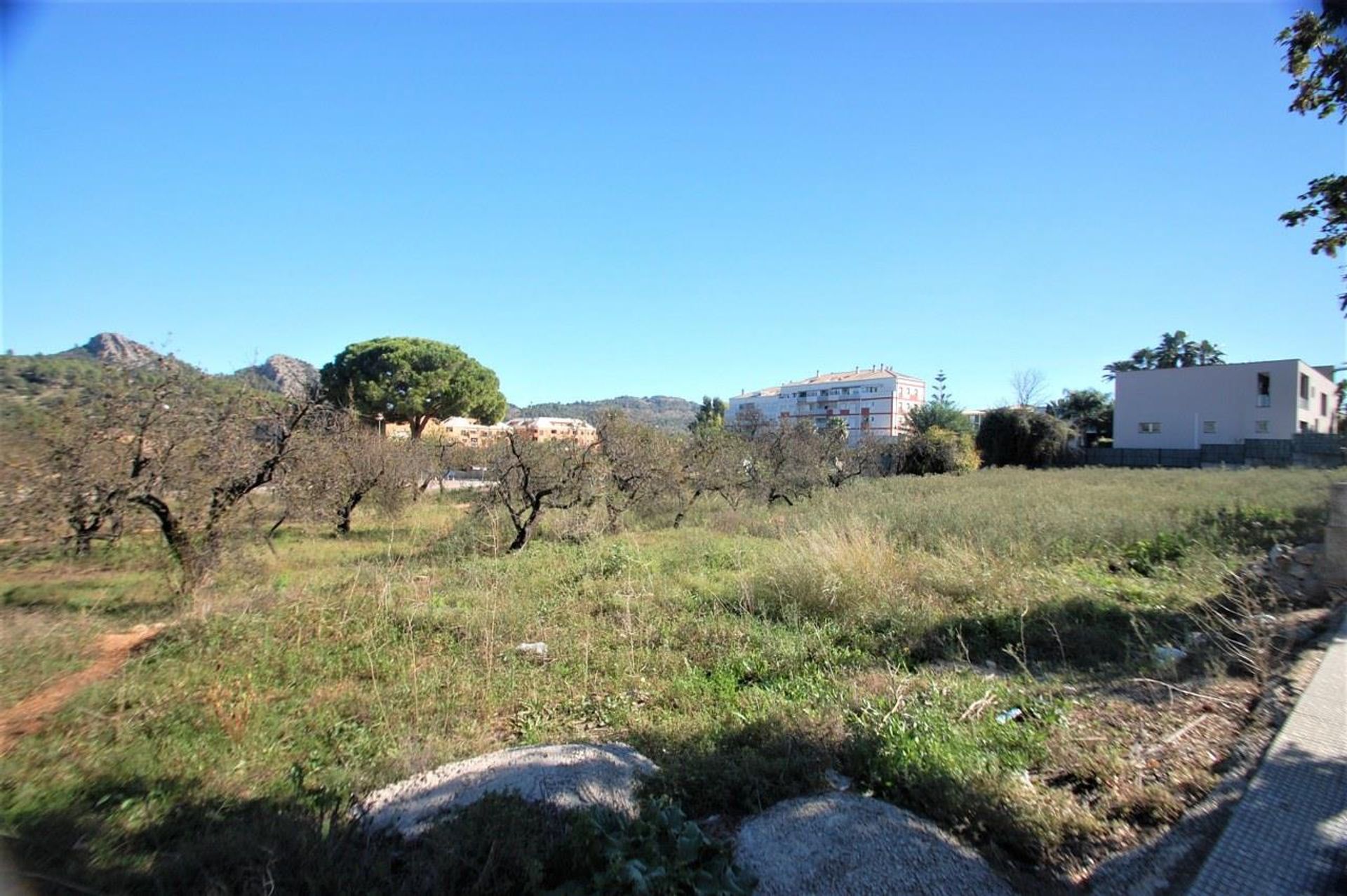 Land in Pedreguer, Valencia 11202190