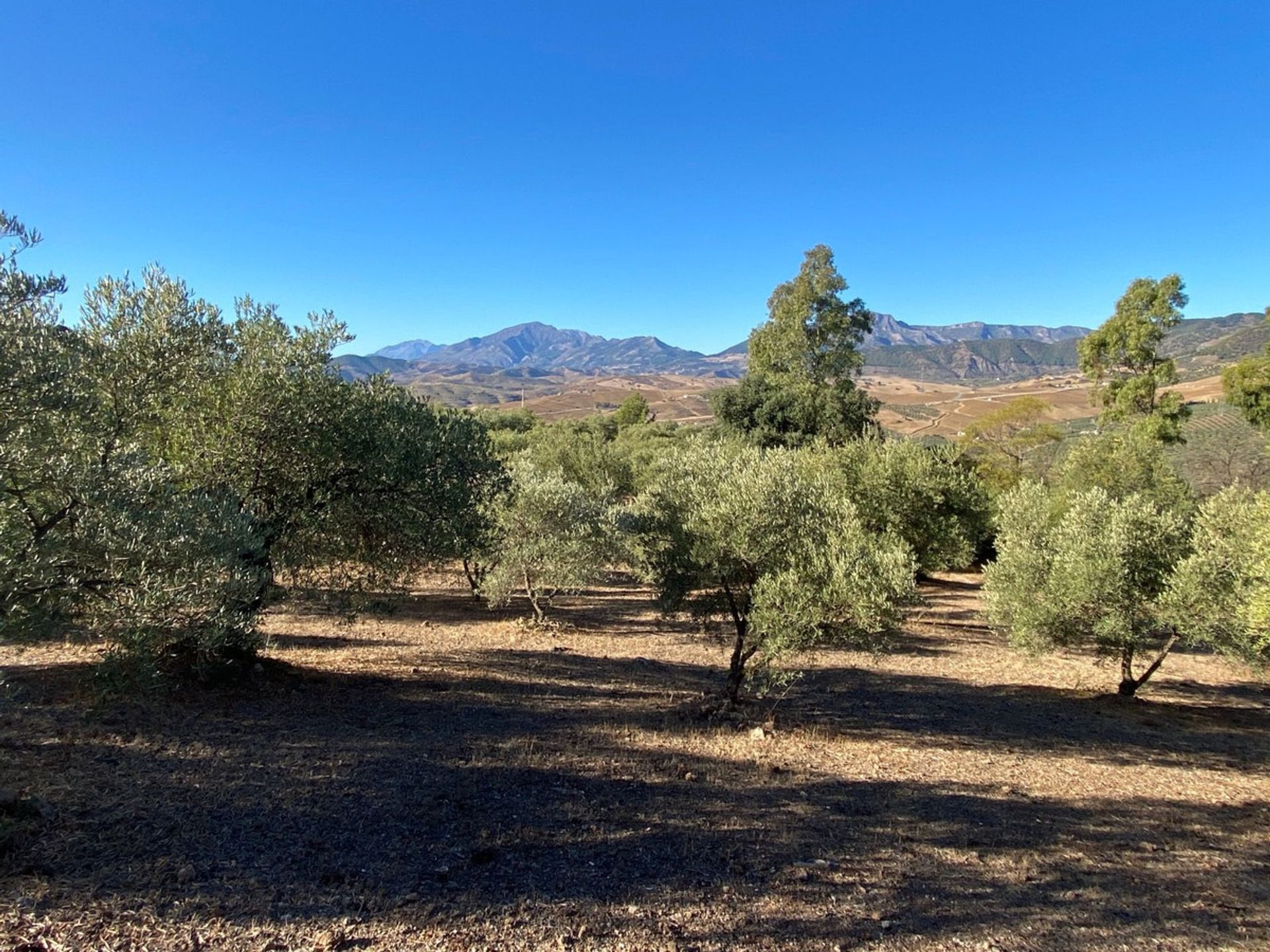 집 에 Álora, Andalucía 11202228