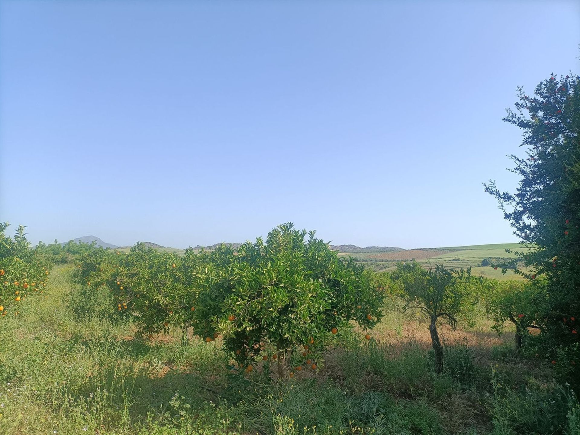 Rumah di Coín, Andalusia 11202443