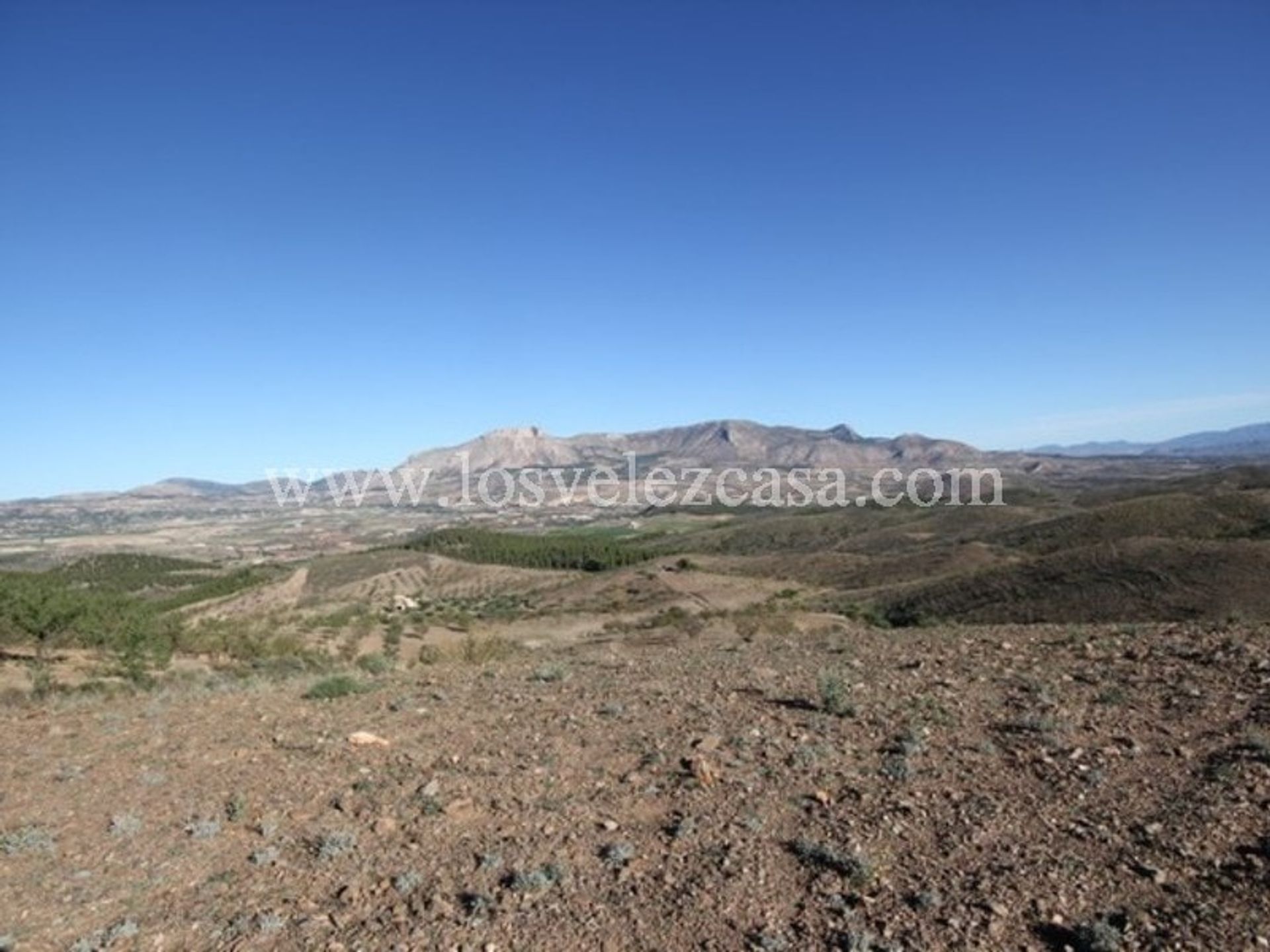 Maa sisään Velez Rubio, Andalusia 11202586