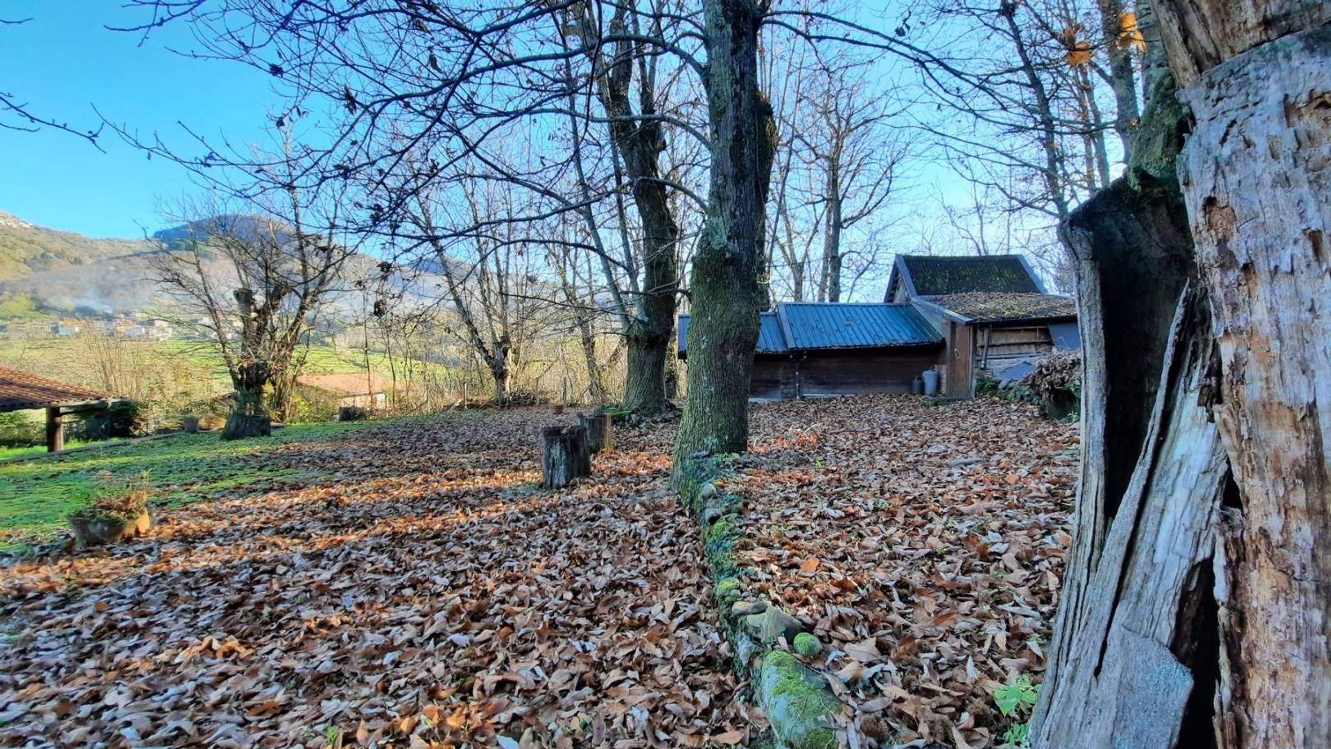 Eigentumswohnung im Villa Collemandina, Toscana 11202917