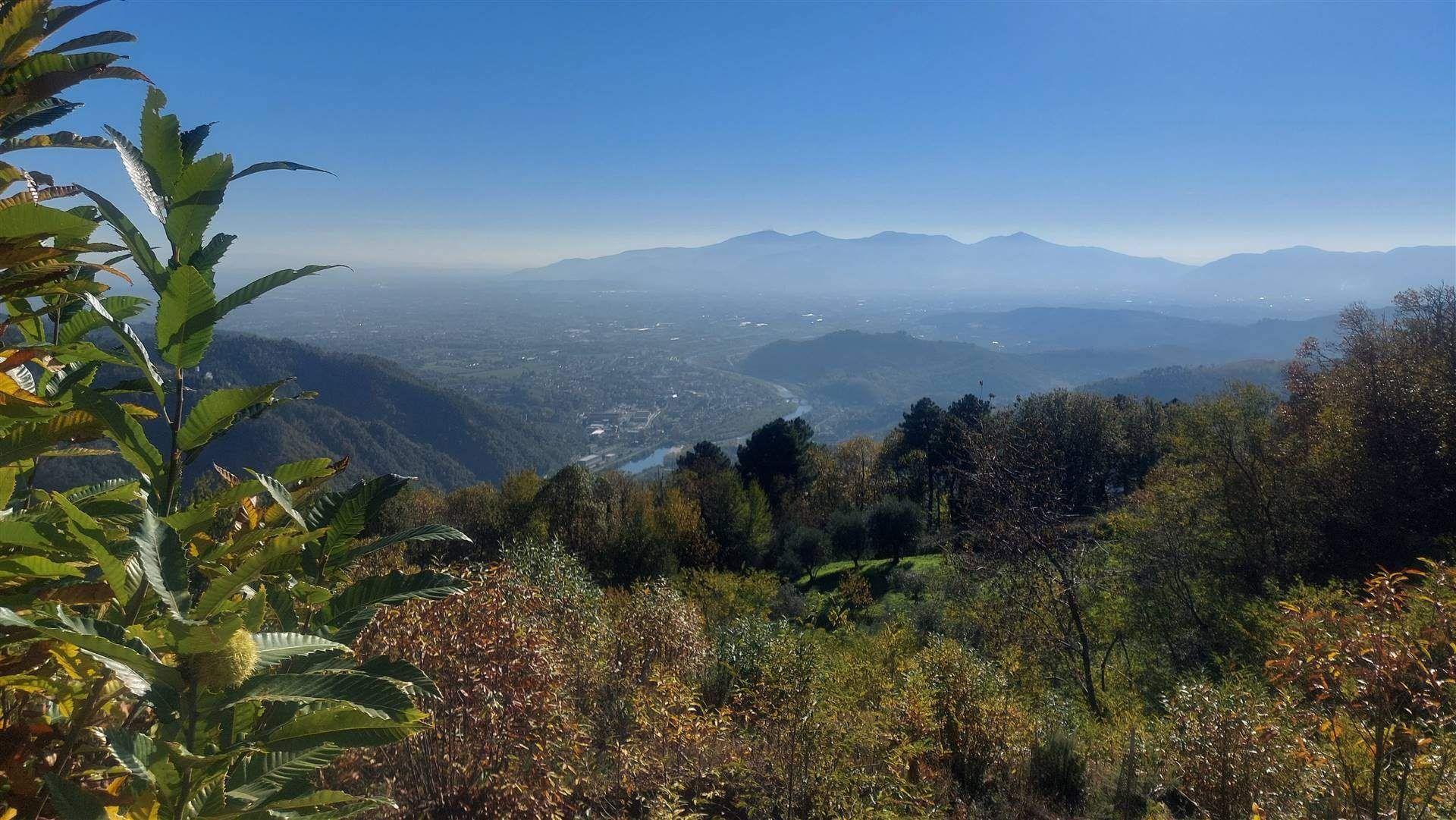 casa en Pieve di Brancoli, Toscana 11202934