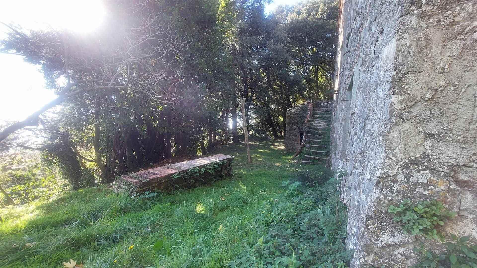 casa en Pieve di Brancoli, Toscana 11202934