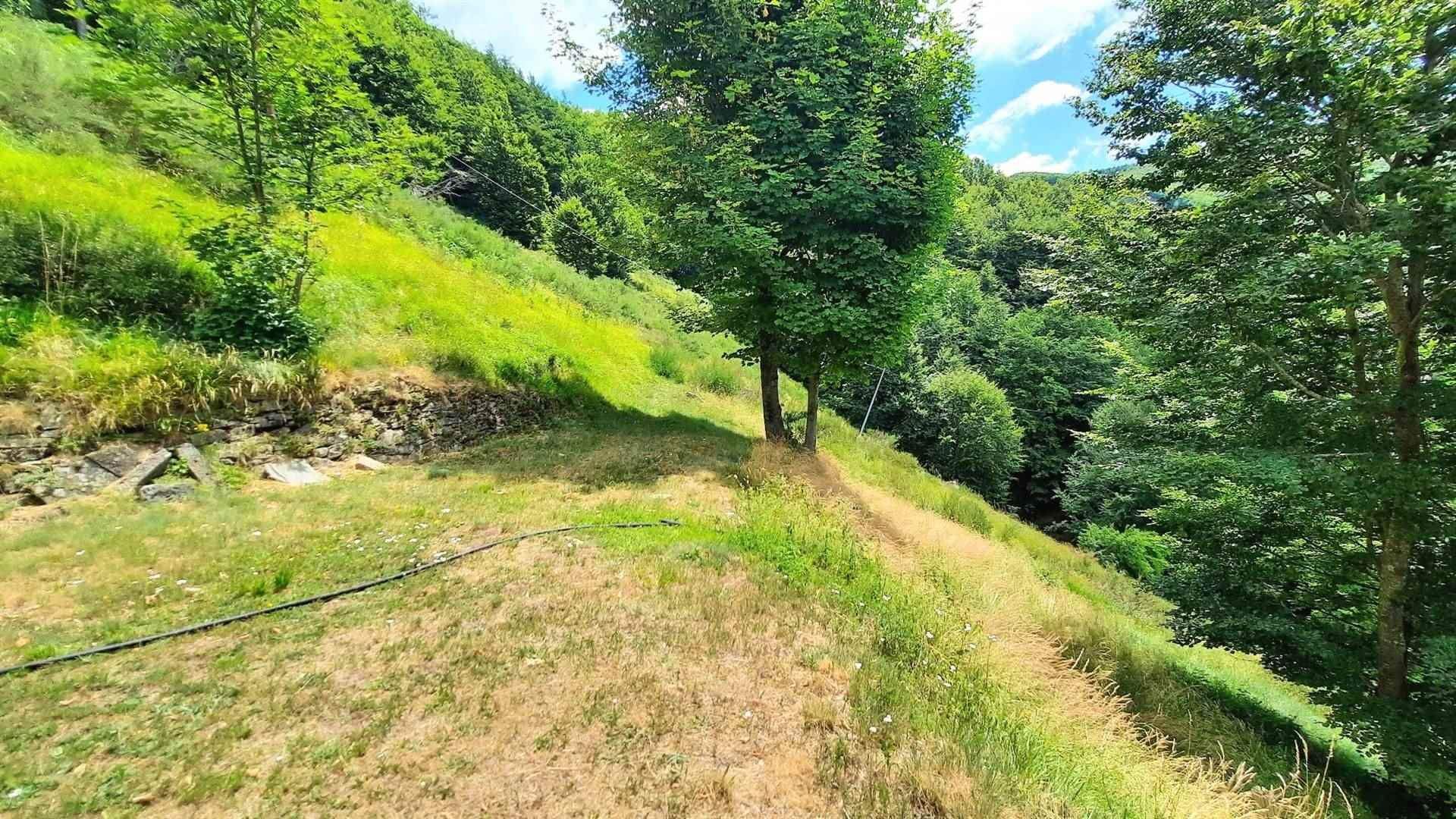 House in San Pellegrino, Toscana 11202976