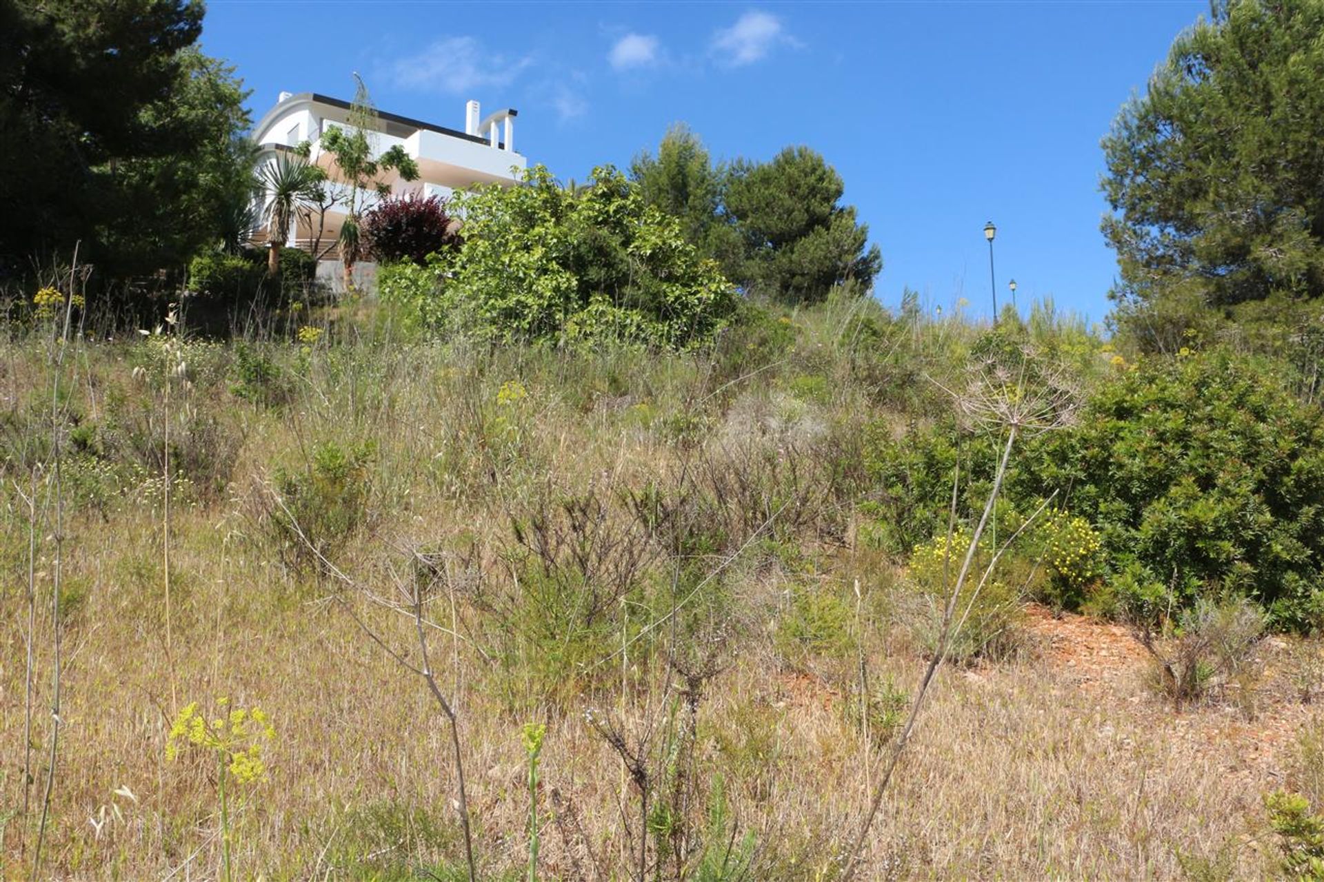 Land im Burgau, Faro 11203547