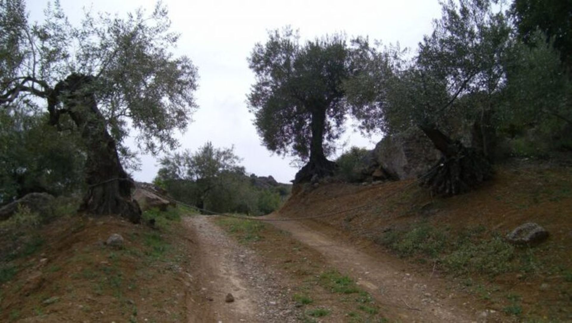 ארץ ב Álora, Andalucía 11205284