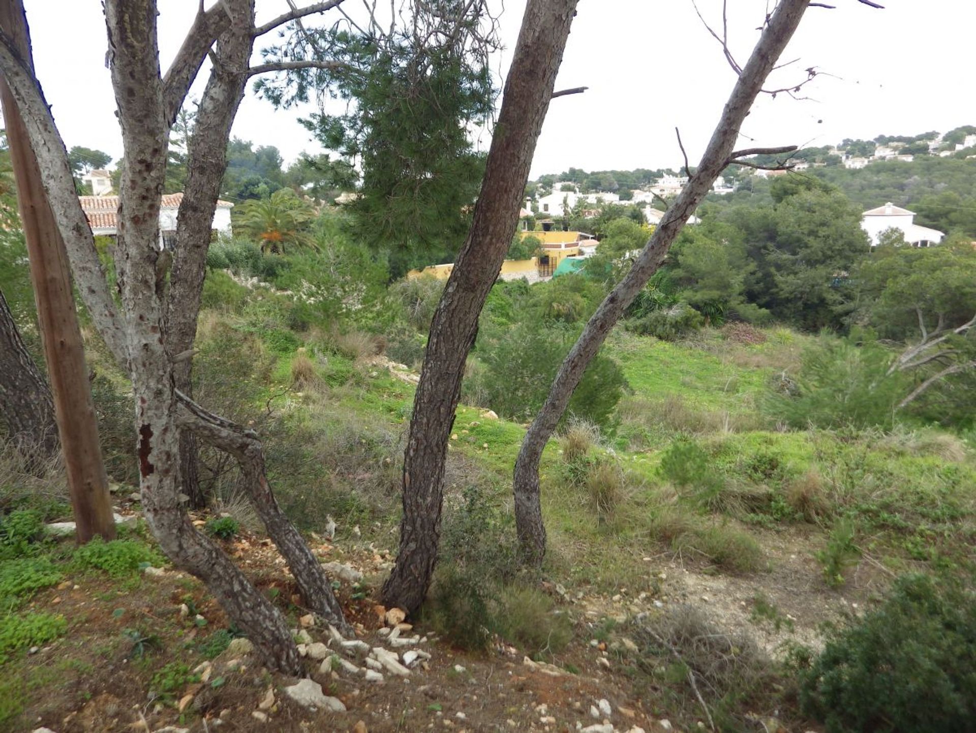 Land in Jávea, Comunidad Valenciana 11205346