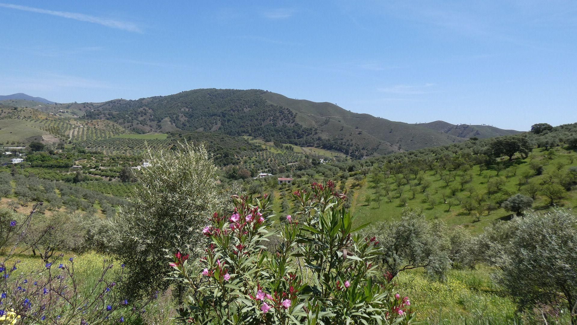 Huis in Casarabonela, Andalucía 11205484